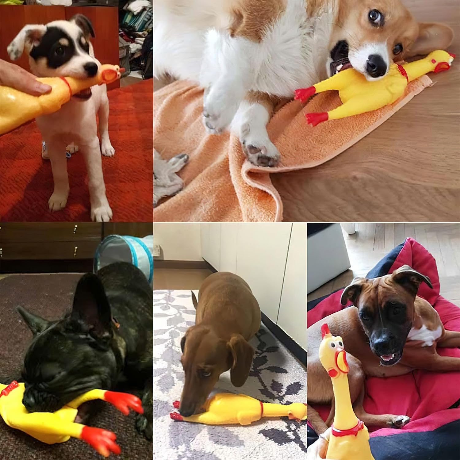 Screaming Chicken, Squeaky Chicken Dog Toys Gag Gifts Prank Novelty Toy Party Favors for Kids Adults April Fools Pranks Easter Goodie Bag Fillers Easter Basket Stuffers