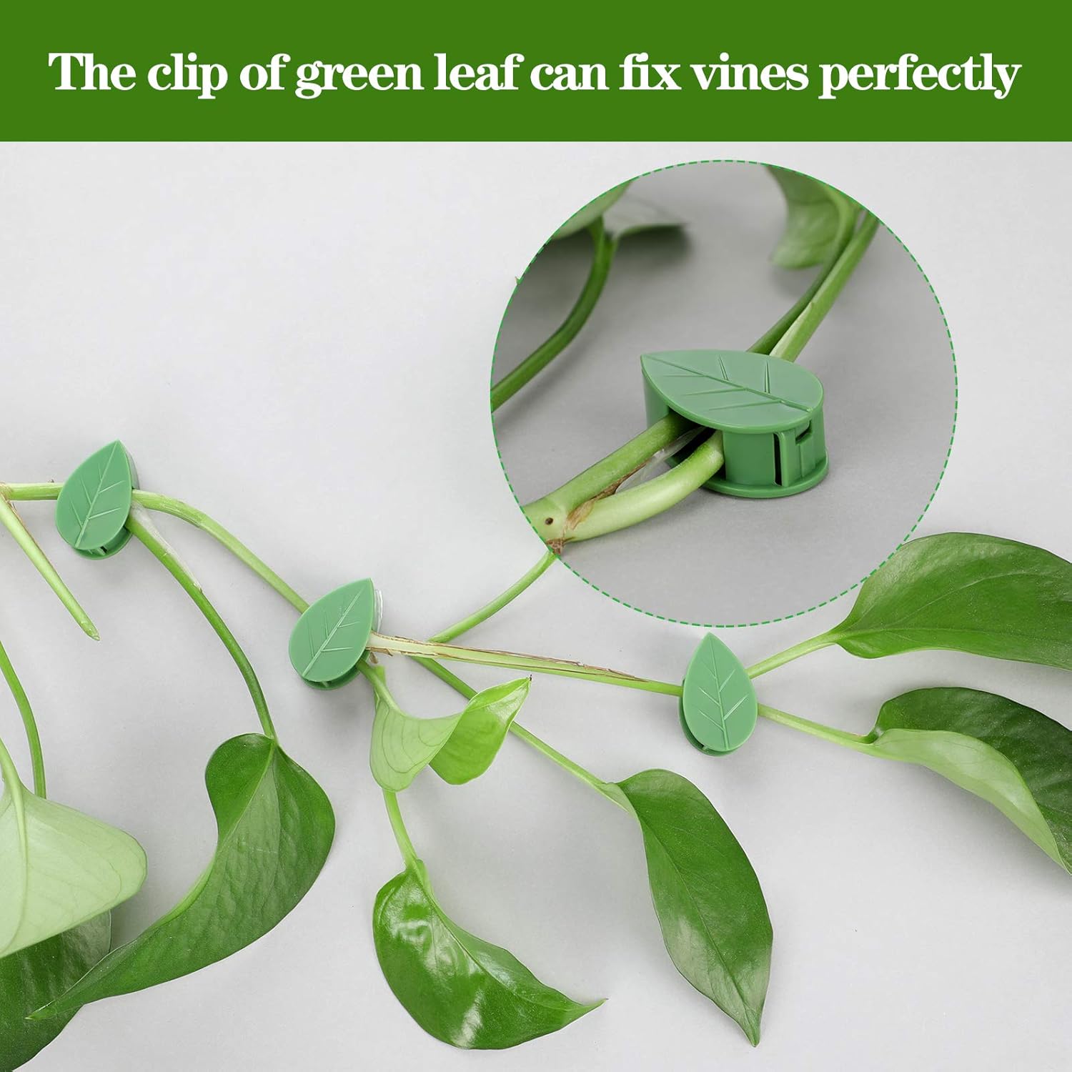 60 Pieces Plant Climbing Wall Fixture Clips with 72 Pieces Acrylic Adhesive Sticker Leaf Fixer Invisible Wall Vines Fixing Clips Hook Plant Vine Traction for Indoor Outdoor Decoration