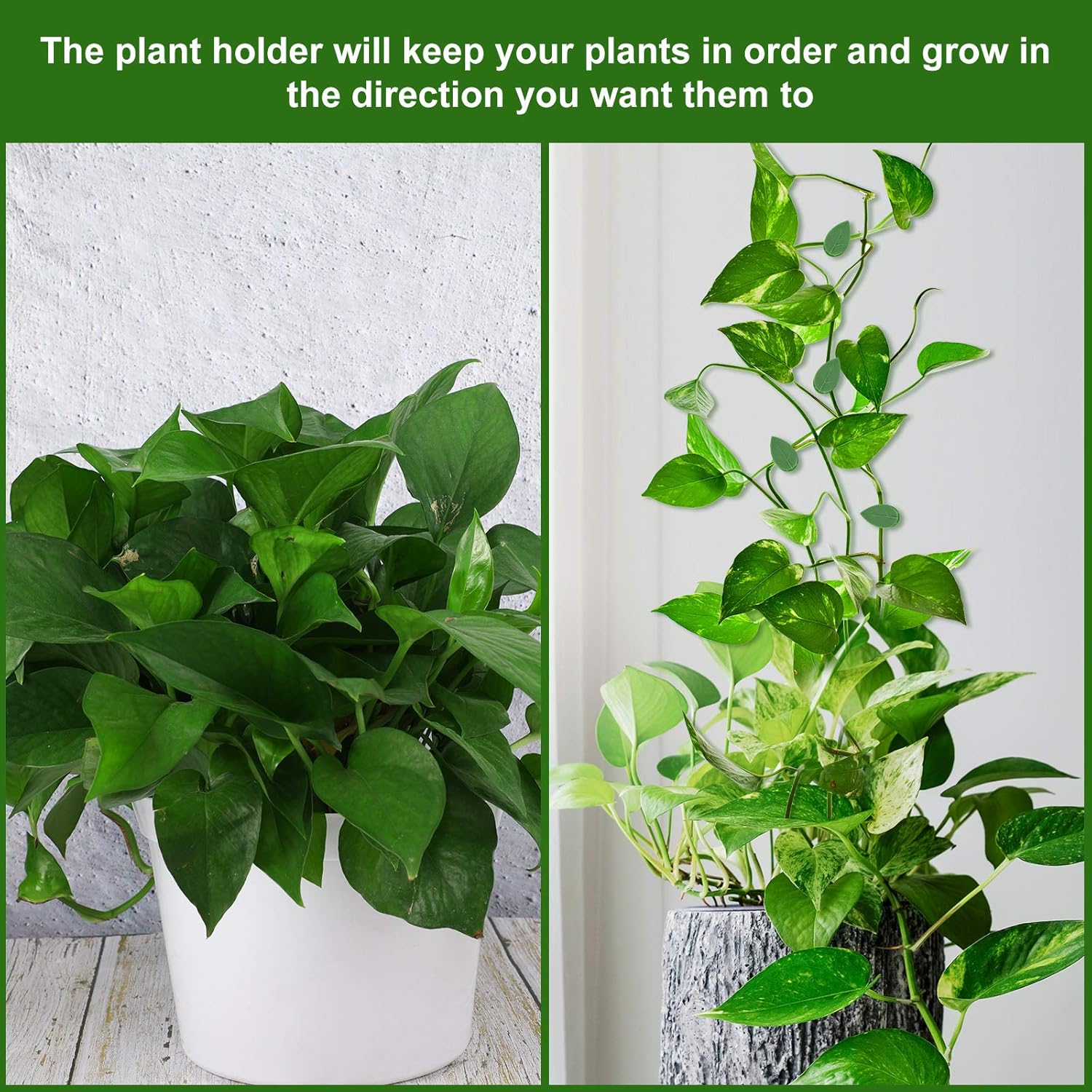 60 Pieces Plant Climbing Wall Fixture Clips with 72 Pieces Acrylic Adhesive Sticker Leaf Fixer Invisible Wall Vines Fixing Clips Hook Plant Vine Traction for Indoor Outdoor Decoration