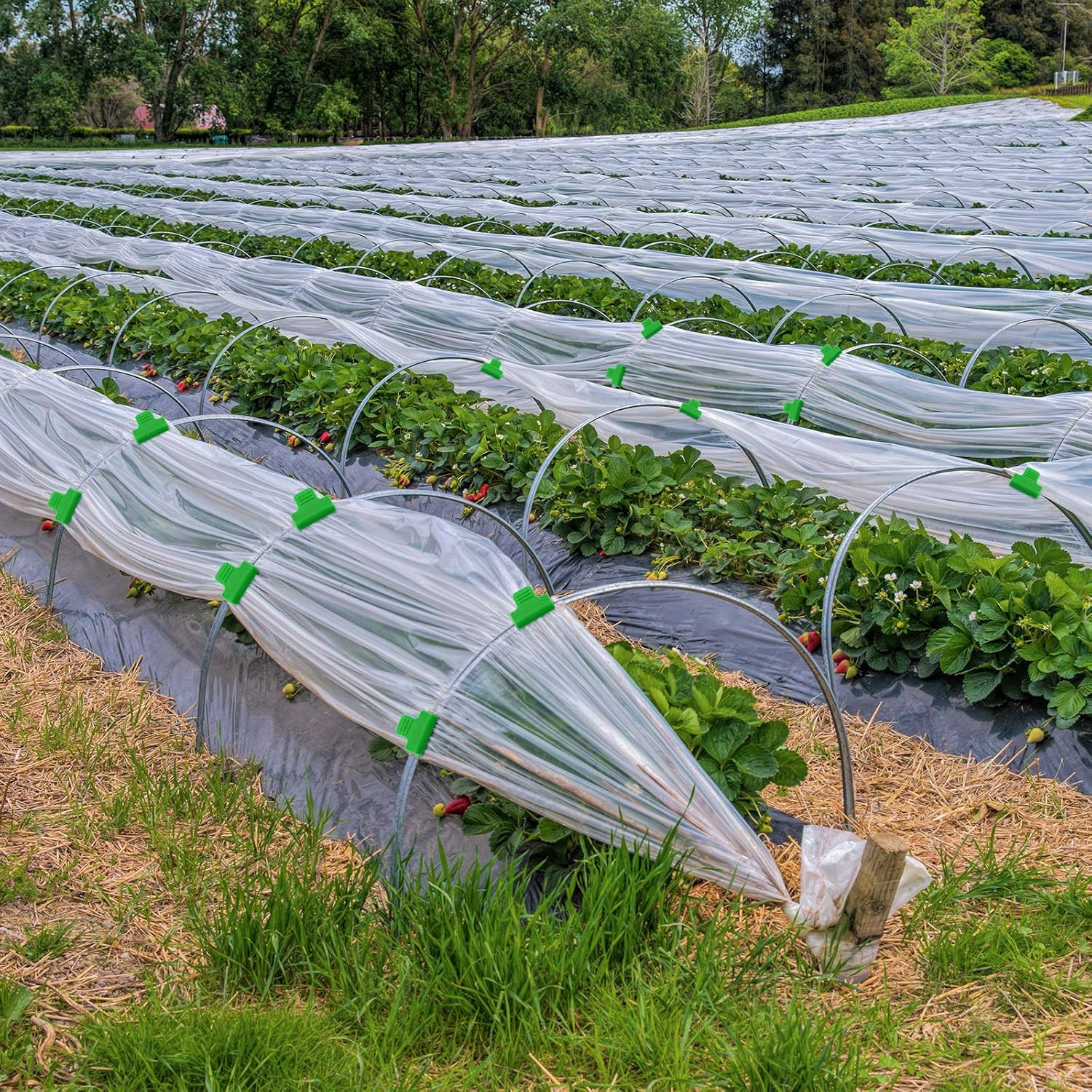 40 Pieces Greenhouse Clamps Film Row Cover Netting Tunnel Hoop Clip Frame Shading Net Rod Clip Greenhouse Film Clamps for Season Plant Extension Support 40 pieces,10 mm