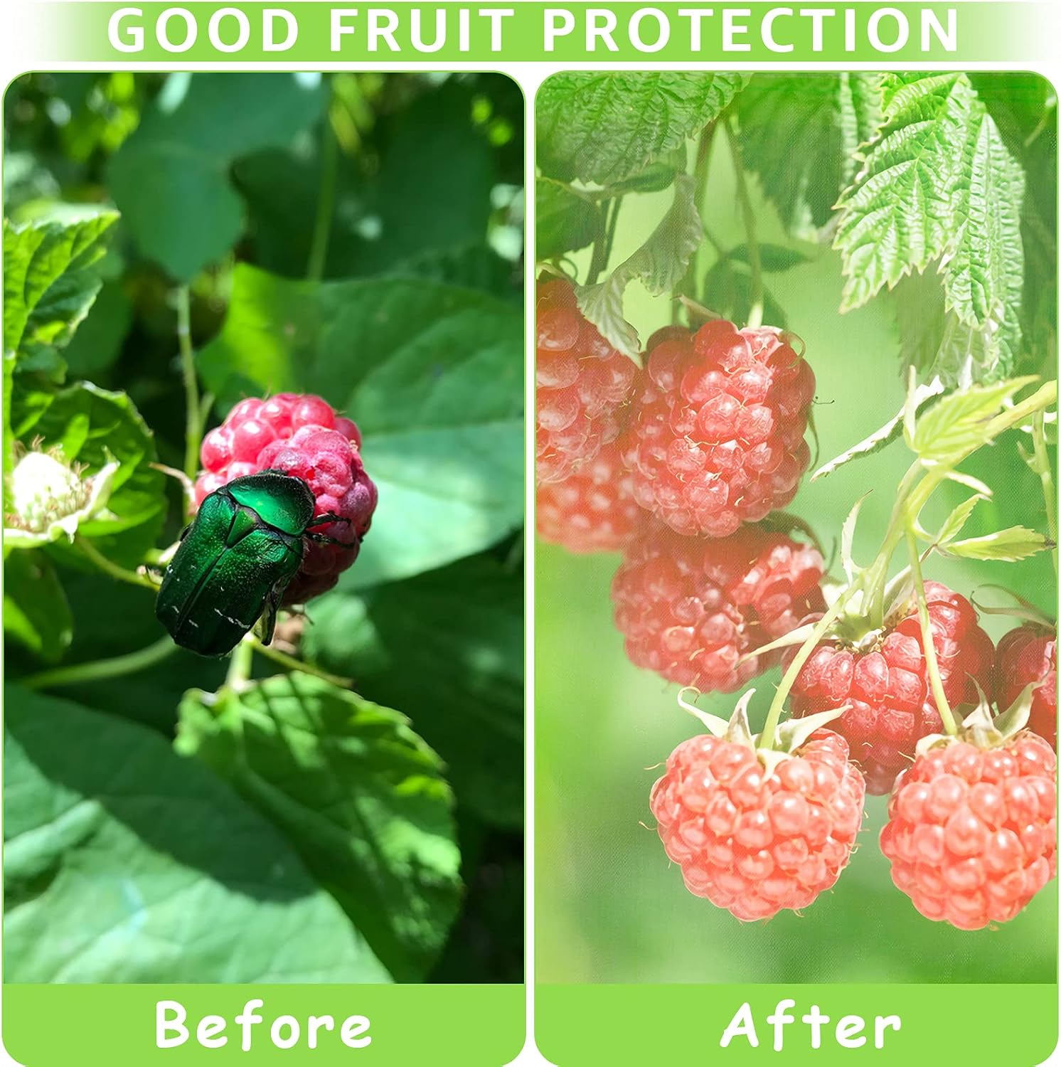 50 Pcs Fruit Protection Bags,8''×12''Fruit Netting Bags for Fruit Trees Fruit Cover Mesh Bag with Drawstring Netting Barrier Bags for Plant Fruit Flower