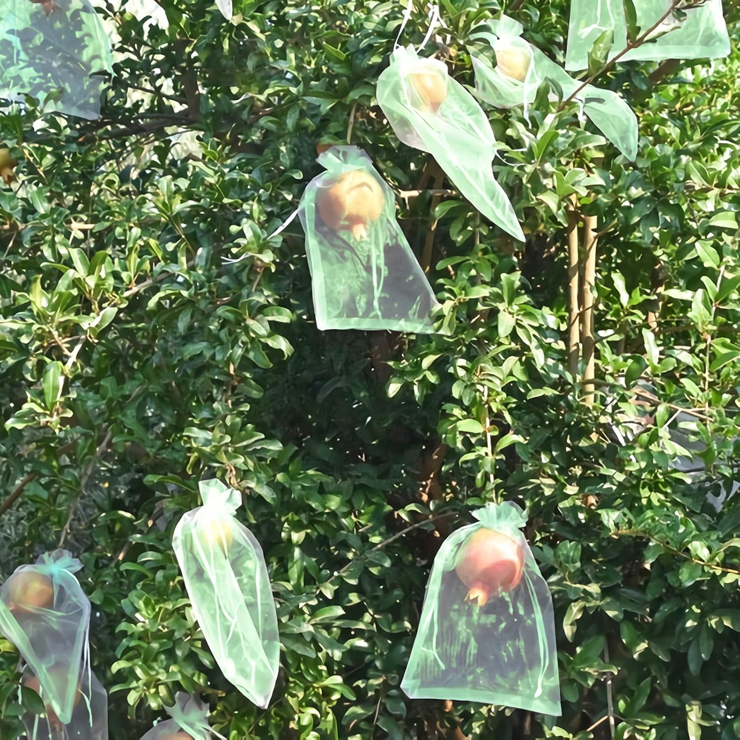 50 Pcs Fruit Protection Bags,8''×12''Fruit Netting Bags for Fruit Trees Fruit Cover Mesh Bag with Drawstring Netting Barrier Bags for Plant Fruit Flower