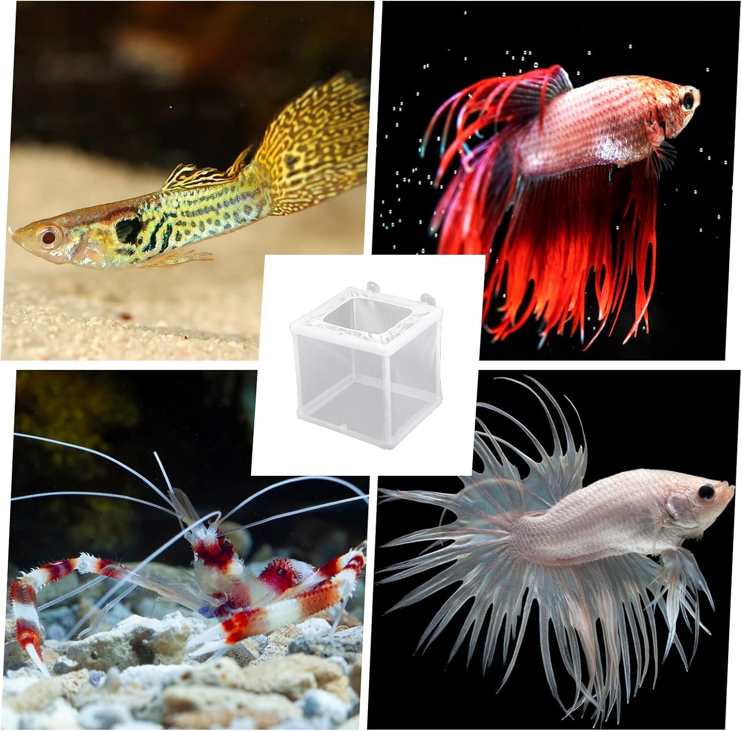 2 Pack Fish Incubator Mesh Box Aquarium, 6.3" x 5.51" x 5.91" Breeder Box for Fish Tank White Nylon Mesh Fishes Breeder Boxes for Aquarium Juvenile Fishes Separation Net Fry Hatchery with Suction Cups