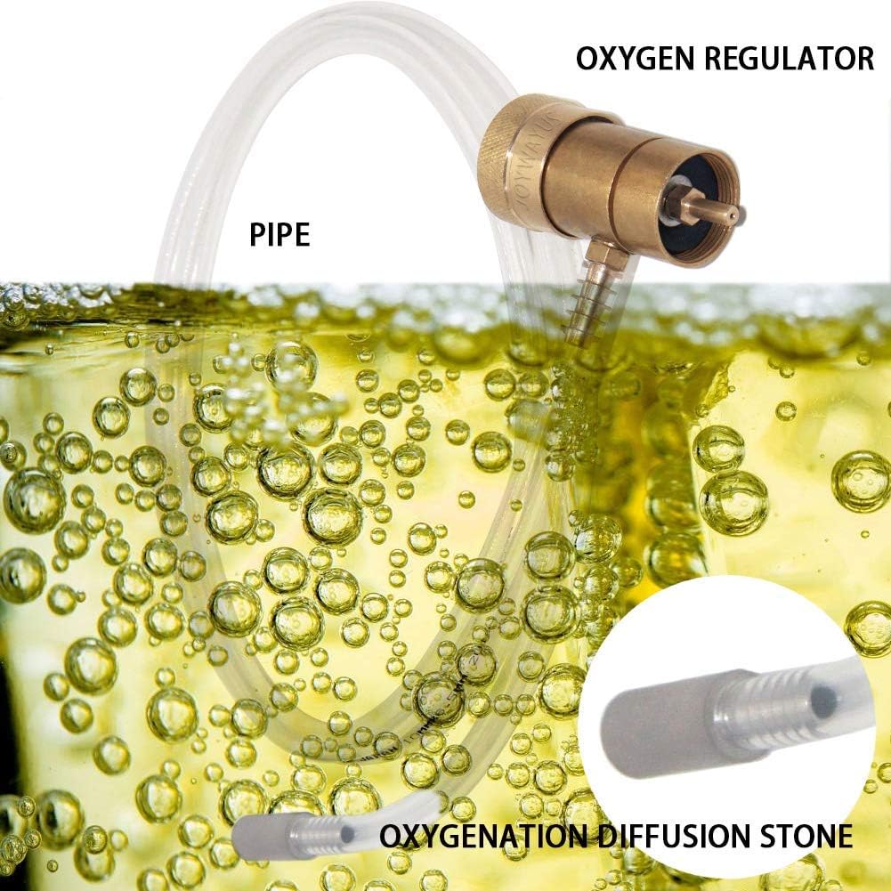 Aeration Stone 0.5 Micron Stainless Steel Oxygenation Diffusion Stone 1/4" Barb for Home brewing Wine Beer Soda + 20 Inch Silicone Hose Pack of 2