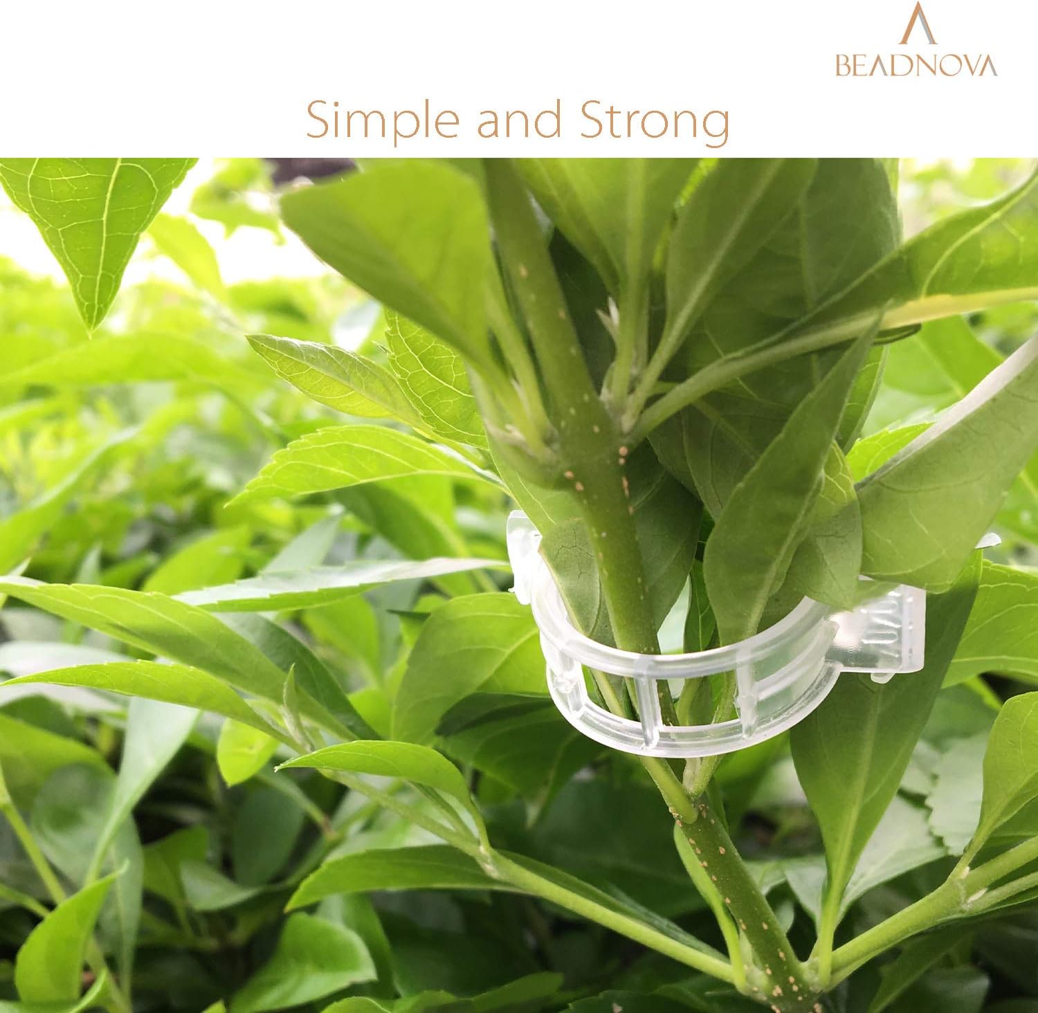 150Pcs Tomato Clips Plant Clips Garden Clips Vine Clips Tomato Trellis Clips for Tomato Vine Vegetable 150PCS