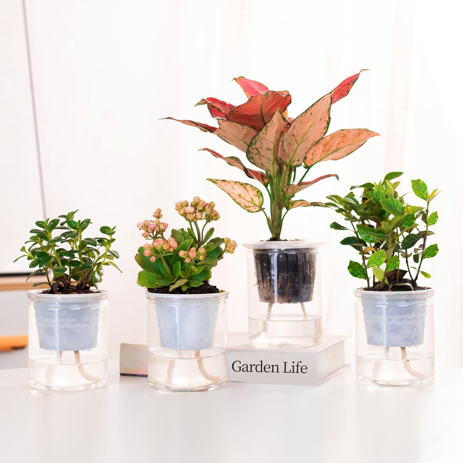 200 feet 1/4 inch Self Watering Capillary Wick Cord Vacation Plant Sitter DIY Hydroponic Wicking Rope Seeds Start Planter Pot Automatic Potted Flower Passive Lazy Waterer String System Device