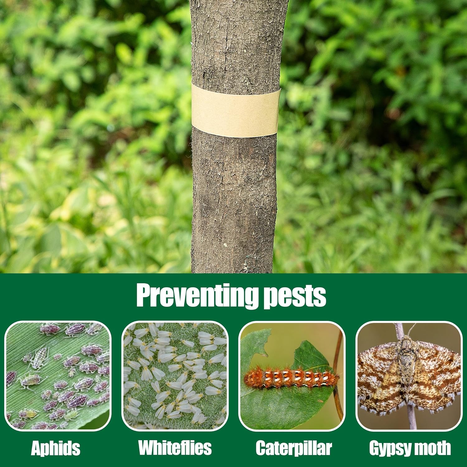 165 Ft x 2 Inch Tree Insect Barrier Tape, Cicada Tree Wrap Protection Tape, Adhesive Crawling Insect Tree Tape for Protecting Fruit Trees Plants Outdoor Lawn Garden