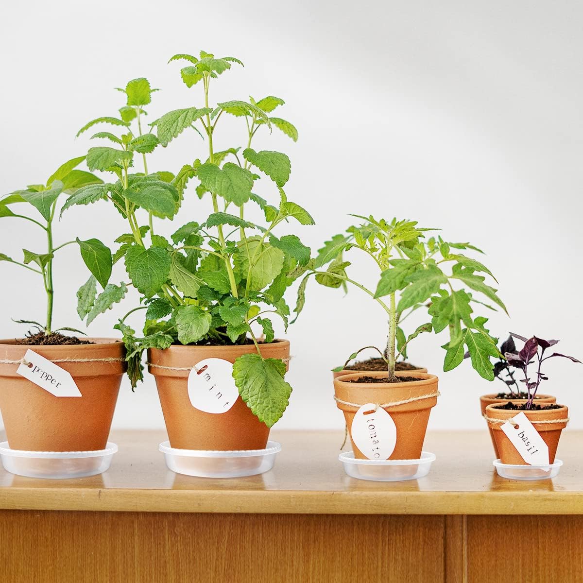9 Pack Clear Plastic Plant Saucer, Durable Plant Trays Flower Plant Pot Saucer Plant Container Accessories for Indoors & Outdoors, Stop Messes & Stains in Your Garden 6"+8"+10"