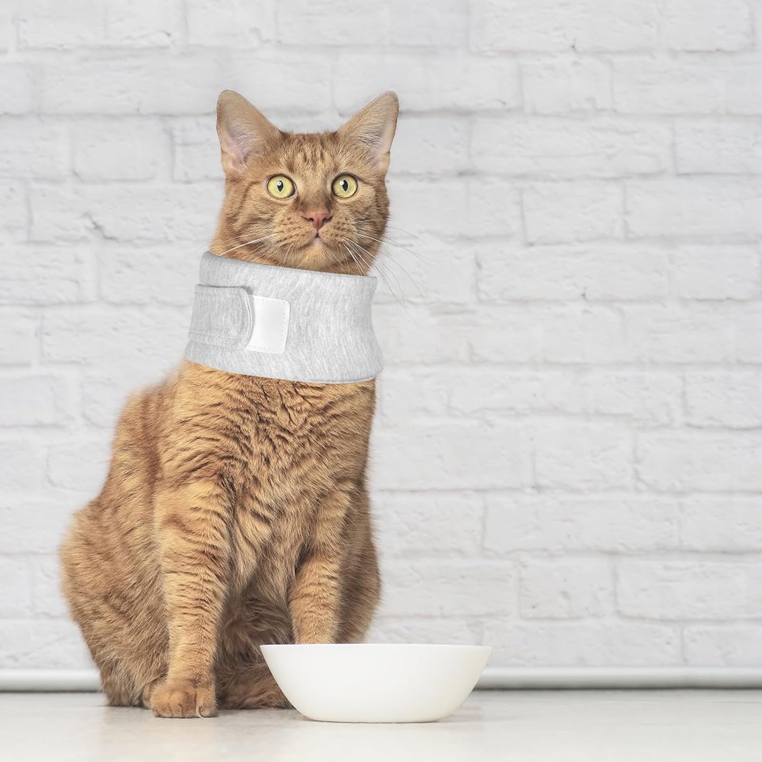 Soft Protective Collar for Cats & Small Dogs - Comfortable Adjustable 21-26 cm - Set of 1