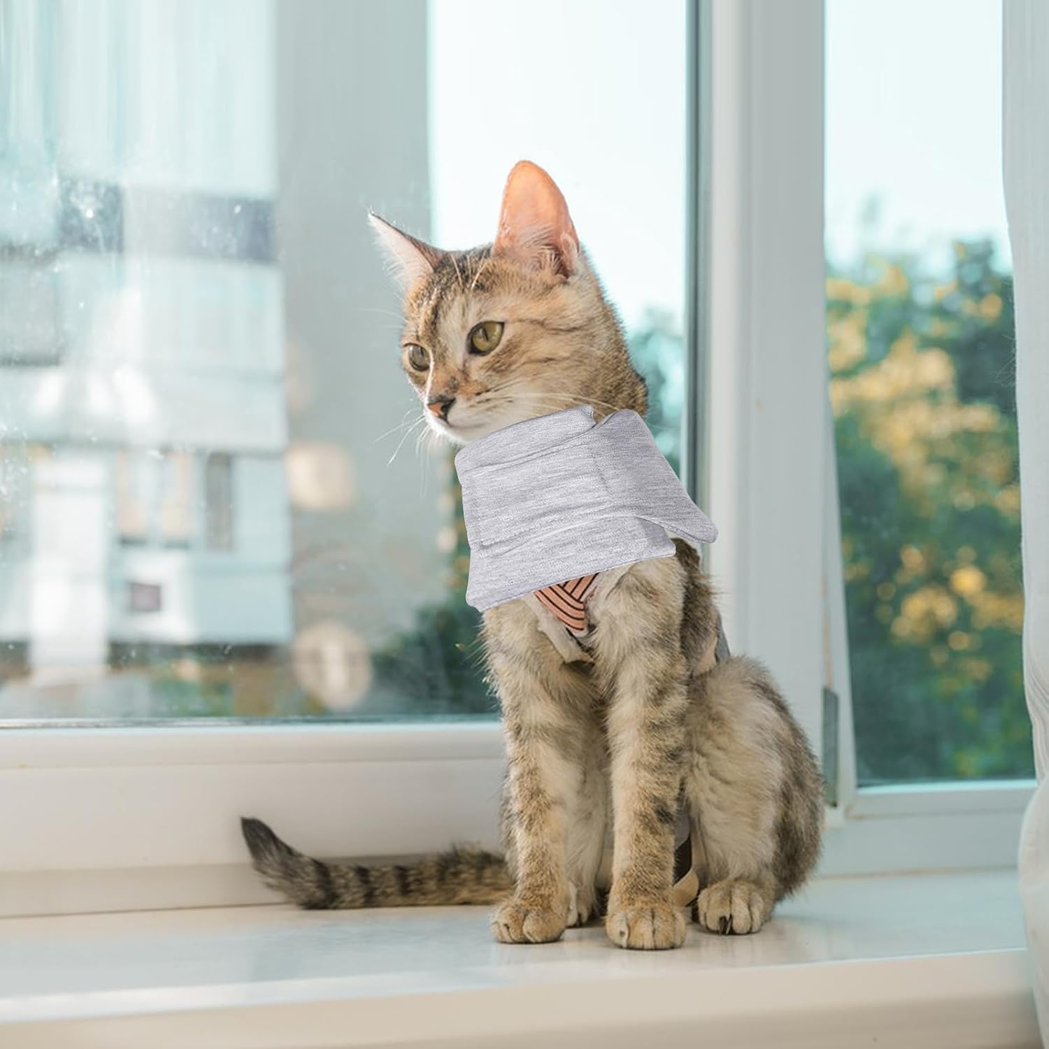 Soft Protective Collar for Cats & Small Dogs - Comfortable Adjustable 21-26 cm - Set of 1