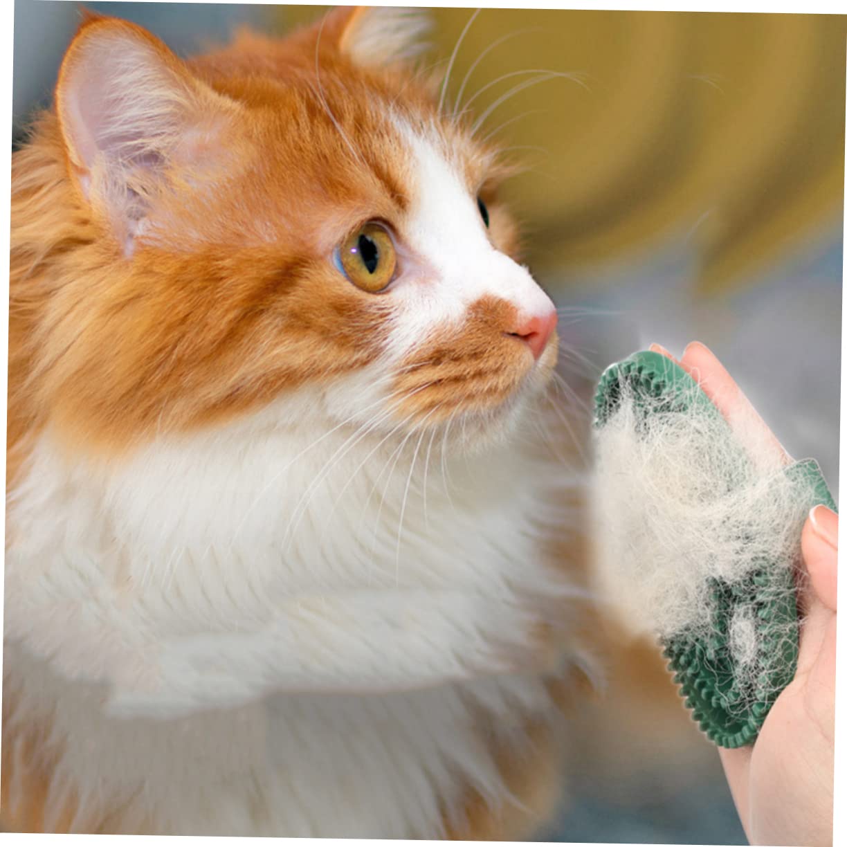 2 Pack Pet Massage Brush for Dog and Cat Grooming Green