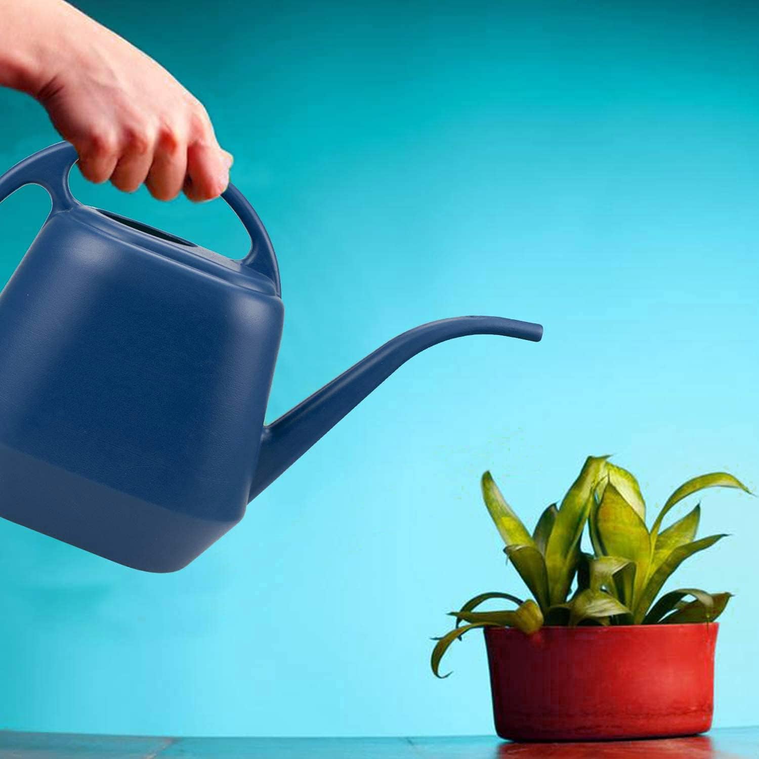 1 Gallon Blue Watering Can for Indoor Outdoor Plants