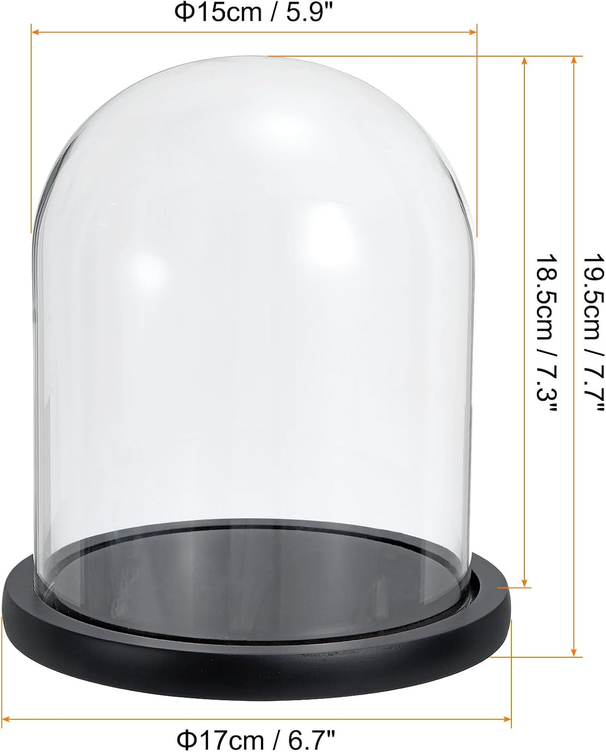 Glass Dome with Black Wooden Base - Clock Shaped Display Case - Home Decor - Desk Ornament - Christmas Decoration for Indoor Use