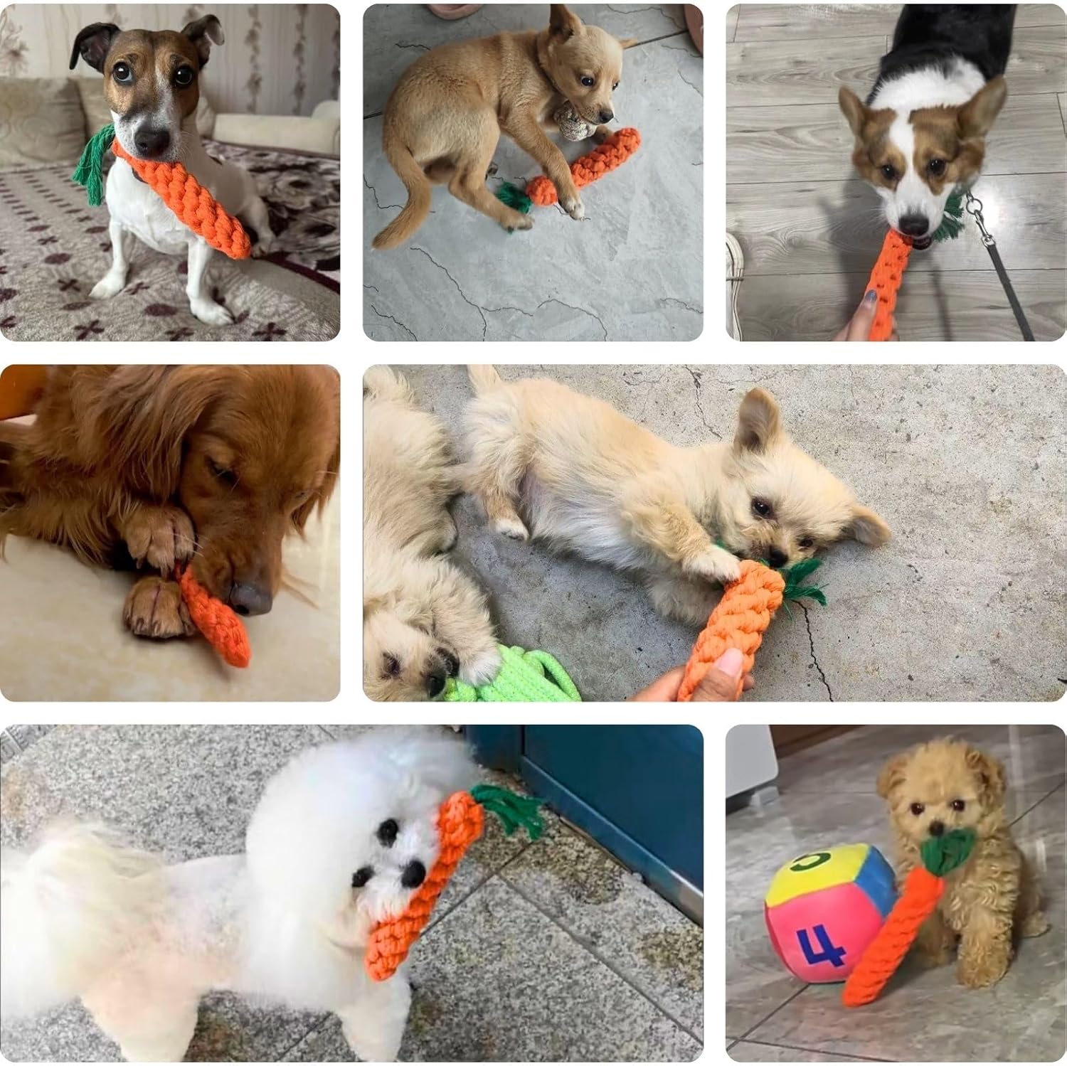 5 Pack Dog Chew Toys - 100% Cotton Material - Durable Bite-Resistant for Teeth Cleaning and Interactive Play - Ideal for Dogs of All Sizes