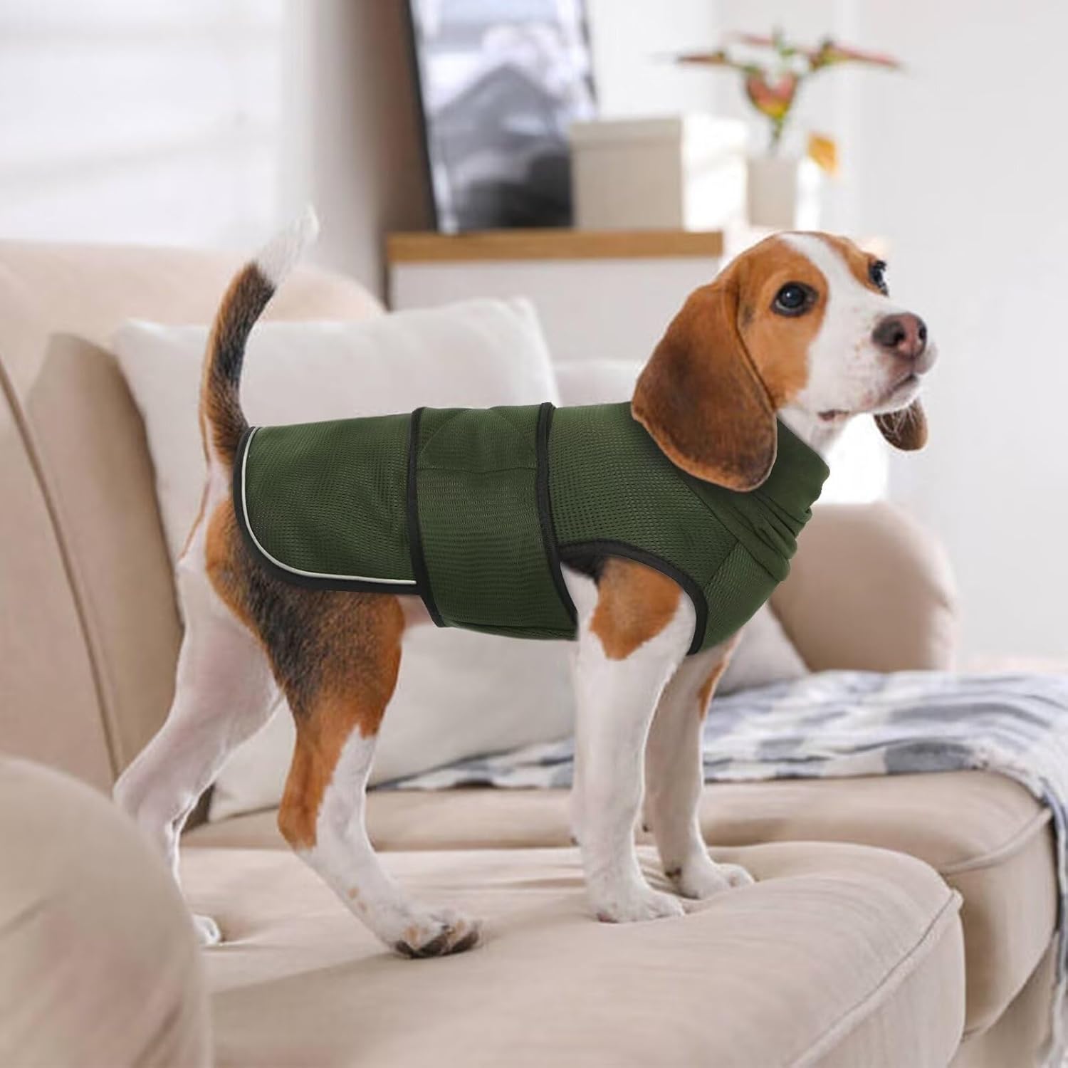 Dog Winter Jacket - Soft Pet Clothing - Bodywarmer - Warm - Adjustable - Size L - Military Green - 1 Piece