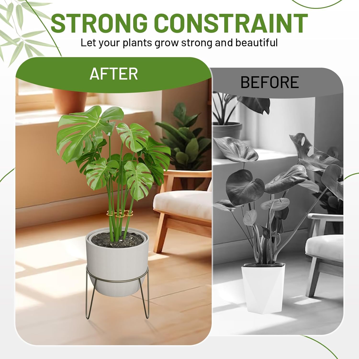 10.5cm x 10.5cm Gold Plant Stem Supports 4 Pack - Indoor Plant Stakes for Tall Plants, Monstera - Plant Anchoring Hooks for Indoor Gardens