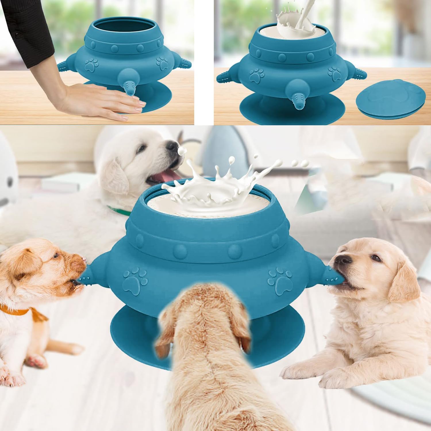 4 Teat Puppy Kitten Feeder Blue for Newborn Pets