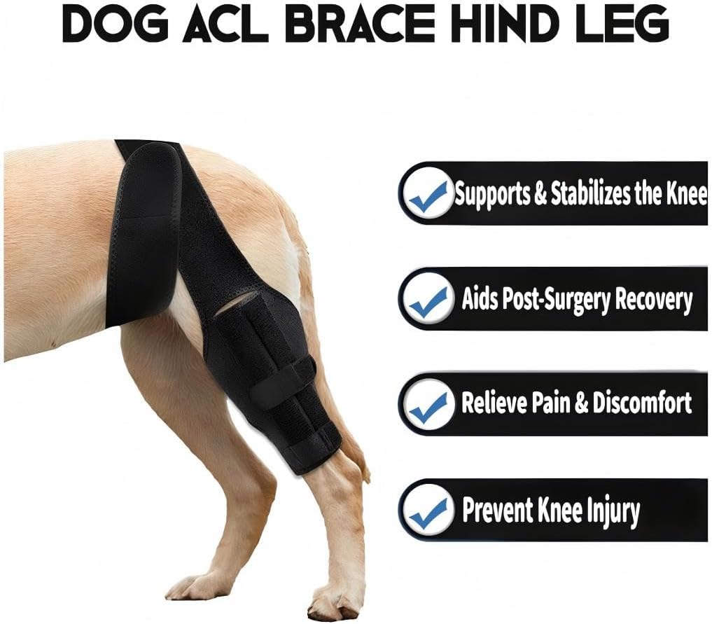 Dog Knee Brace for Torn ACL Hind Leg，Comfortable and Adjustable Support Brace with Two Stabilizer，Dog Leg Braces for Back Leg with Extra Support，Arthritis Relief and Surgery Recovery S