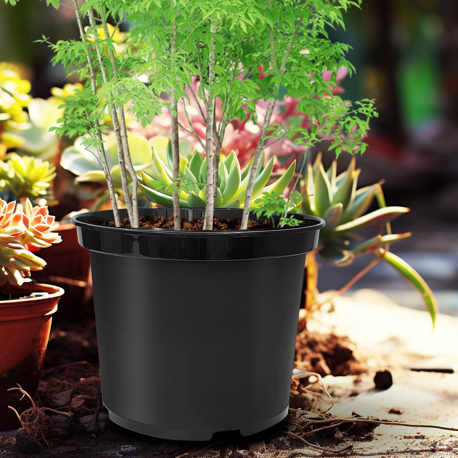 5 Gallon 12 Inch Plastic Nursery Pots, Plant Containers with Drainage Holes, Round Sturdy Garden Planters for Indoor/Outdoor Greenery, Gardening Gifts for Women 5-Pack, Black