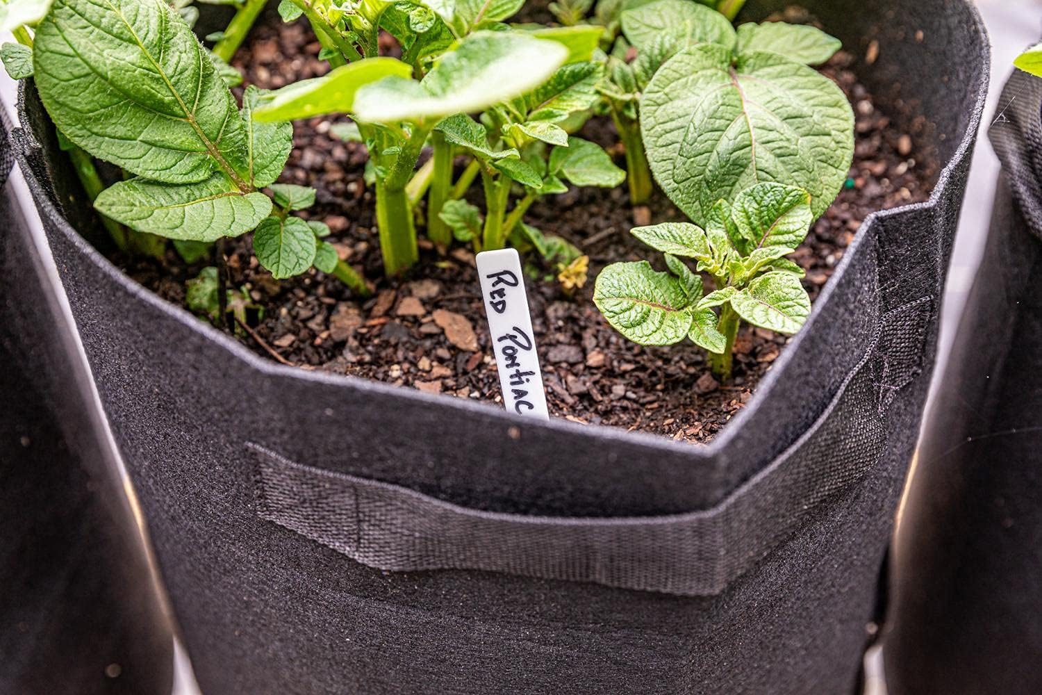 6 Pack BPA-Free 10 Gallon Vegetable Grow Bags with Access Flap and Handles, Suitable for Planting Potato, Taro, Beets, Carrots, Onions, Peanut