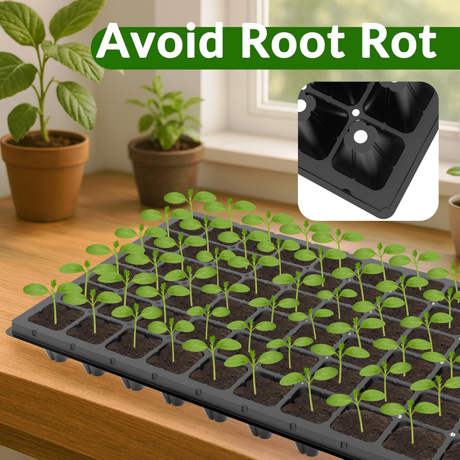 10 Pack 72 Cell Seed Starter Trays, 1.75" Deep Plug Tray for Seedlings, Thick Seedling Trays with Drainage Holes, Fit Standard 1020 Drip Tray