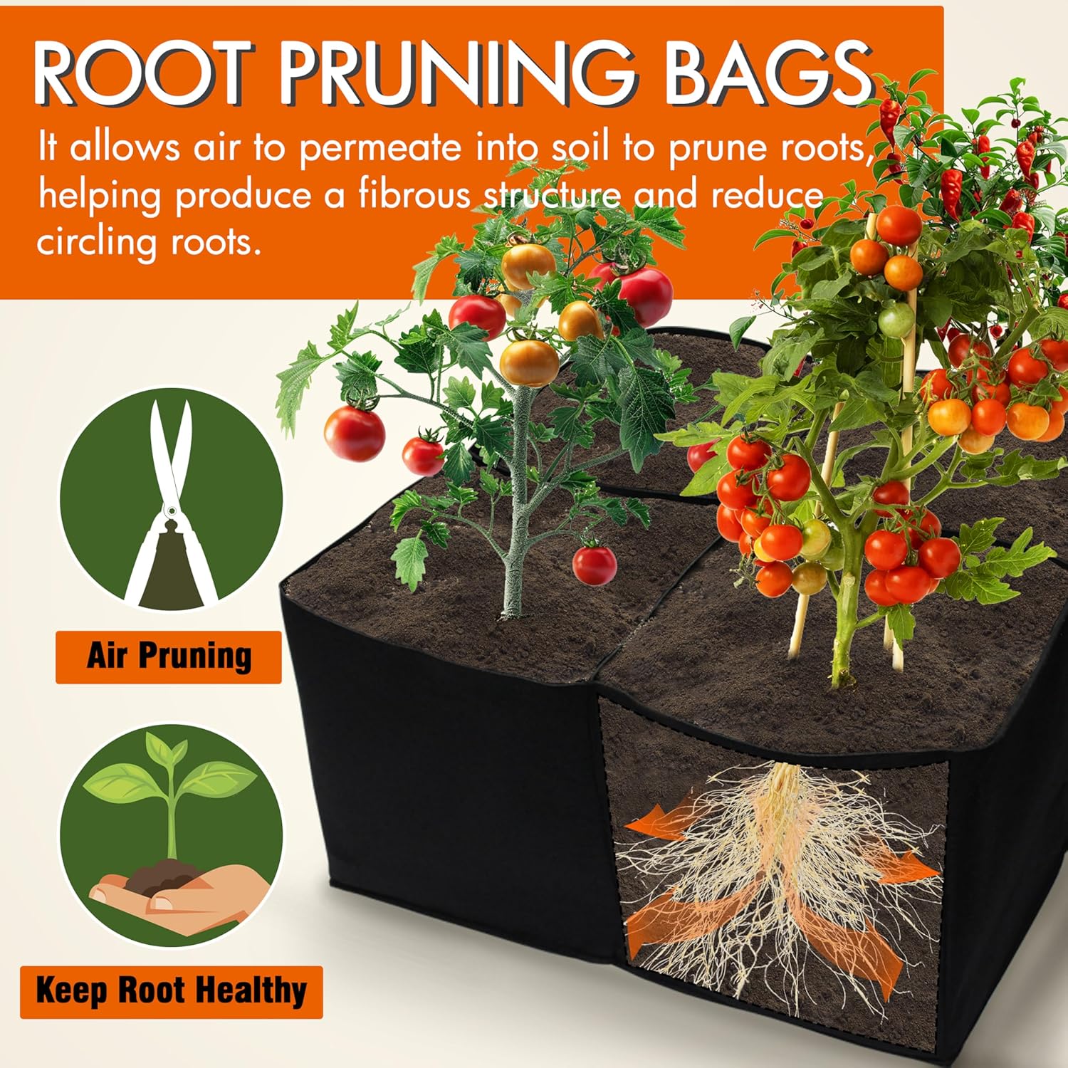 2 Pack Fabric Raised Garden Beds, 2x2x1 FT – 4 Grids Grow Bed for Square Foot Gardening, Planting Box for Vegetables, Herbs, Flowers