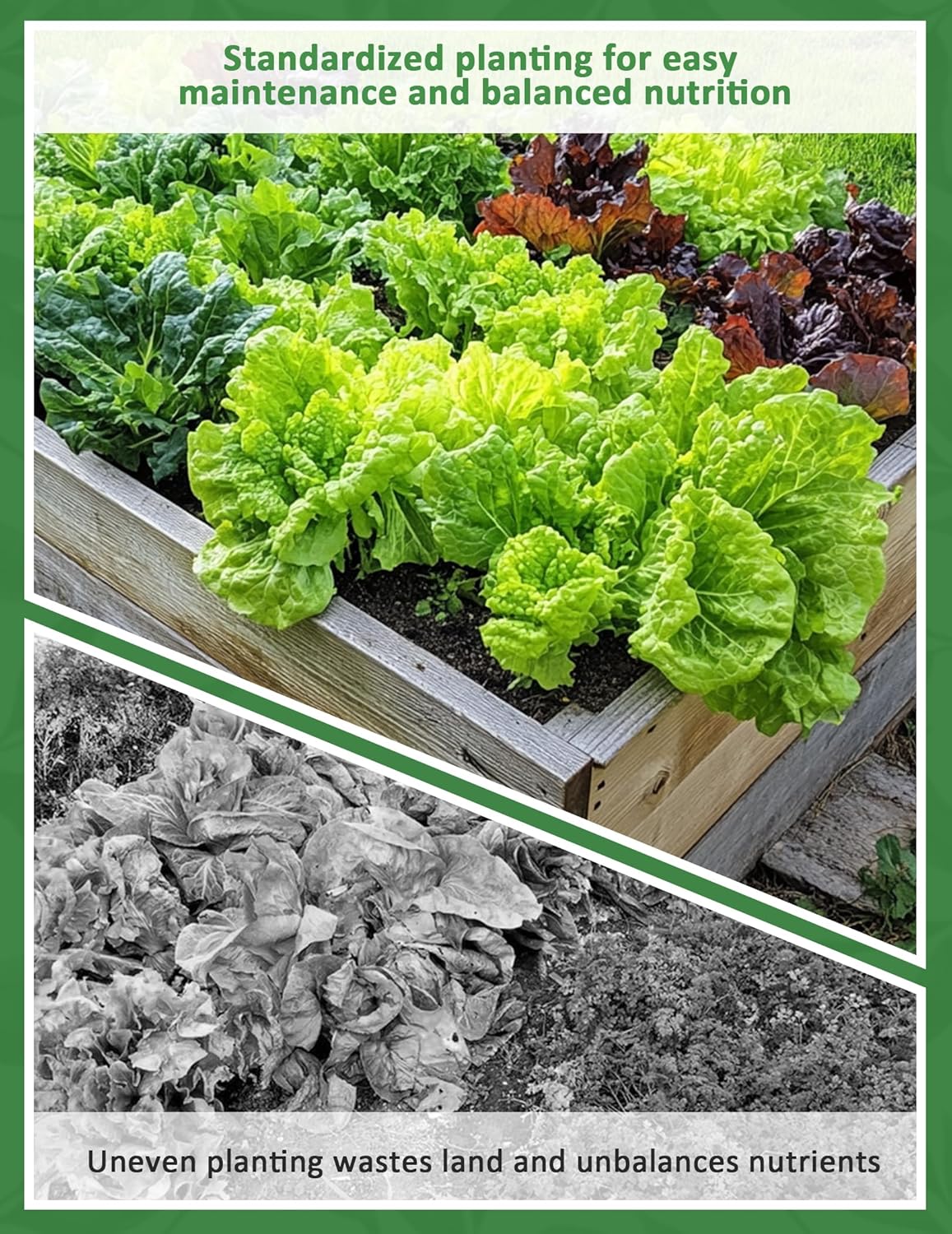 Seed Spacer Tool for Square Foot Gardens - Maximize Your Garden Space and minimize Weeds with This Premium Garden Tool