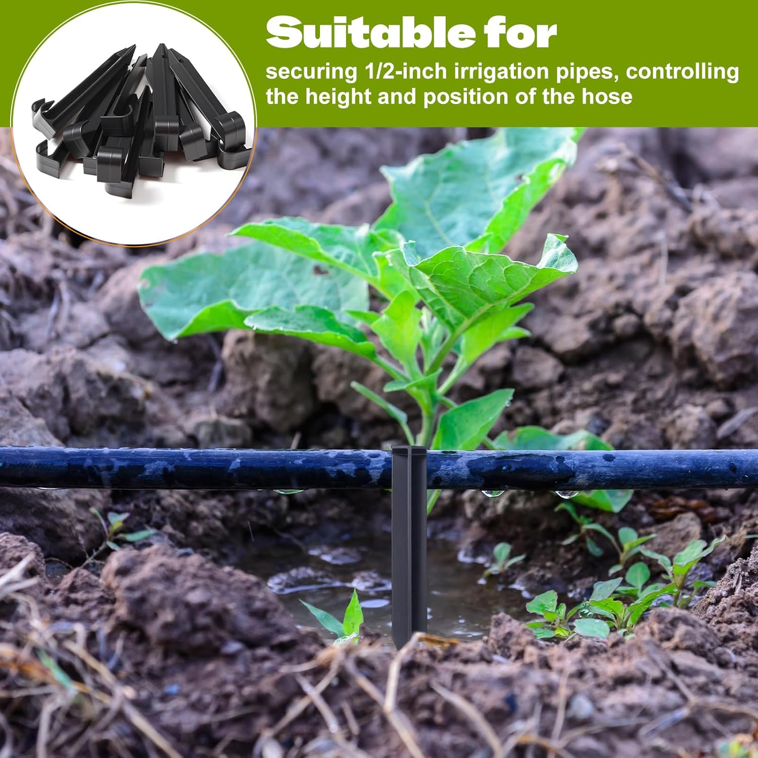80 Pcs Irrigation Stakes Tubing Hold Down Anchor Stakes 1/2" PE Plastic Garden Hose Stake 6 Inch Plastic Drip Tubing Anchor for Greenhouse, Lawn, Patio, Vegetable Plot