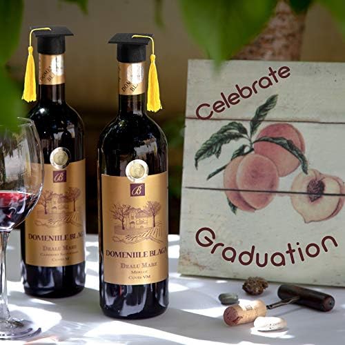 36 Pieces 2026 Mini Graduation Caps with Tassels Graduation Wine Bottle Toppers Black Cap with Gold Tassel