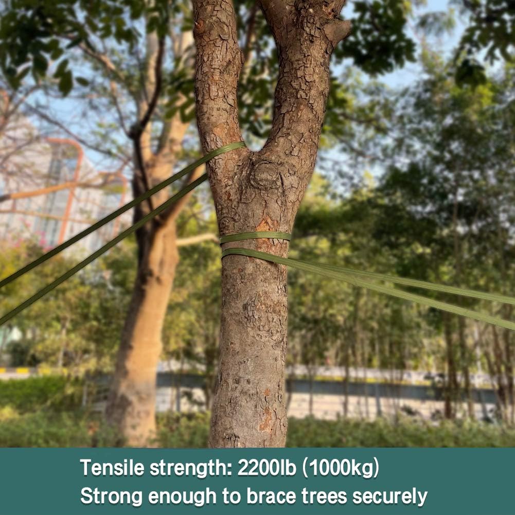 Tree Support Strap, 65 Feet x 1 inch Tree Straps for Staking, Nylon Plant Tie Rope for Support, Straightening 2200 Lbs Strength, Green