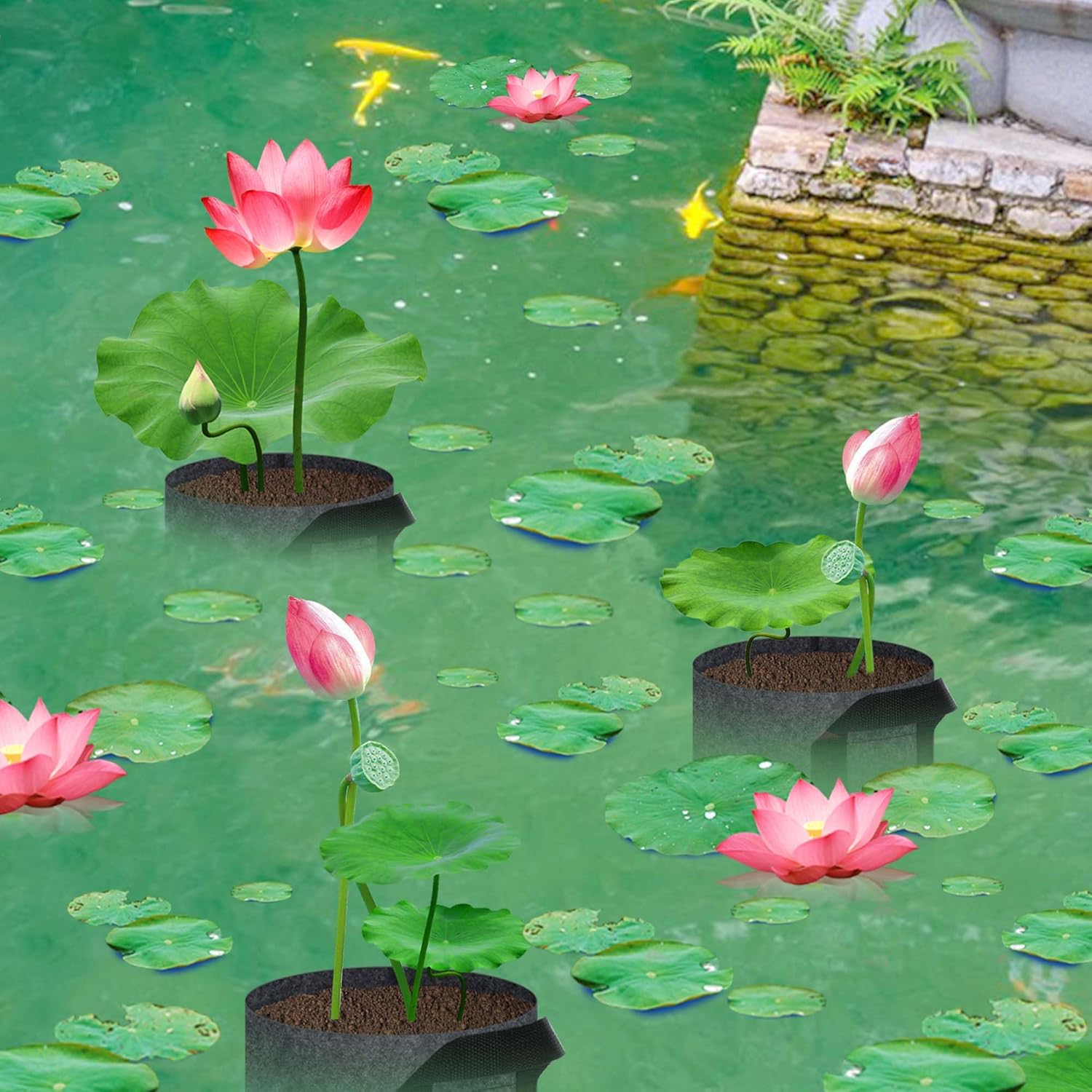 12 Pack Aquatic Plant Pots for Pond, Reusable Fabric Aquatic Plant Pots, Breathable Pond Plant Basket Grow Bags with Handles for Aquatic Plants, Bog Plant, Water Lily, Lotus, Flower 1 Gallon