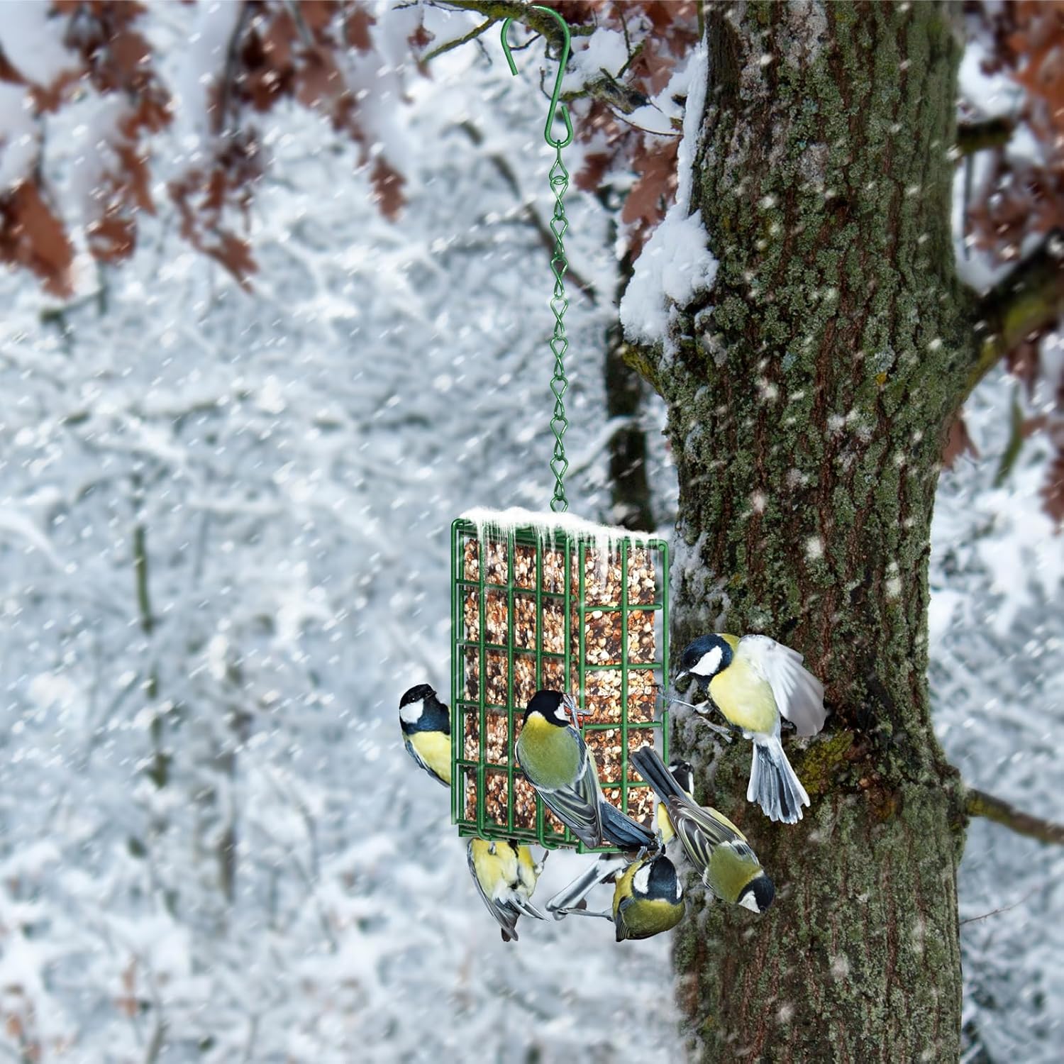 Hanging Bird Feeder, Suet Feeder Hanging Bird Feeder Hanging for Garden Yard Outside Hanging Bird Feeder Tray