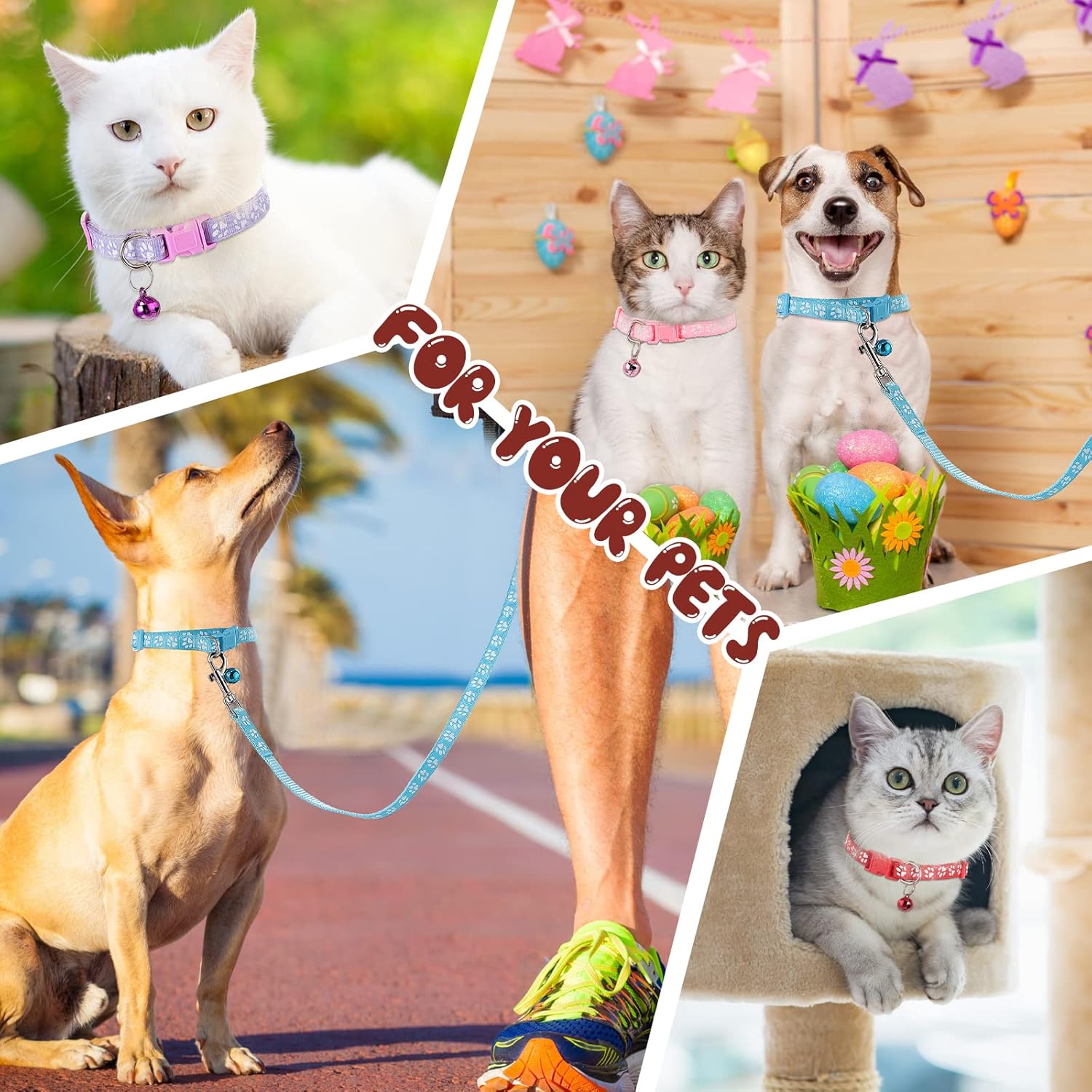 Amylove 48 Pcs Dog Collar and Leash Set, Polypropylene Adjustable Puppy Collars for Medium Dogs Small Pet Puppy Walking Training with Hook and Buckle Multicolor,Paws Pattern