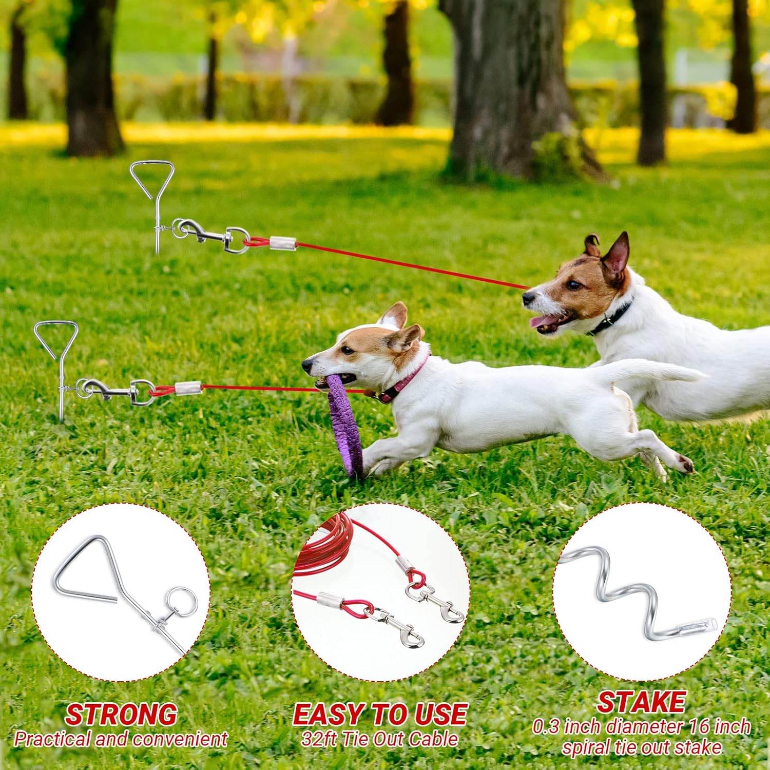 Amylove 2 Set Dog Tie Out Cable and Stake - 30ft Leash Chain, 16" Spiral Stake for Outside Yard - Medium to Large Dogs up to 125 Lbs Red