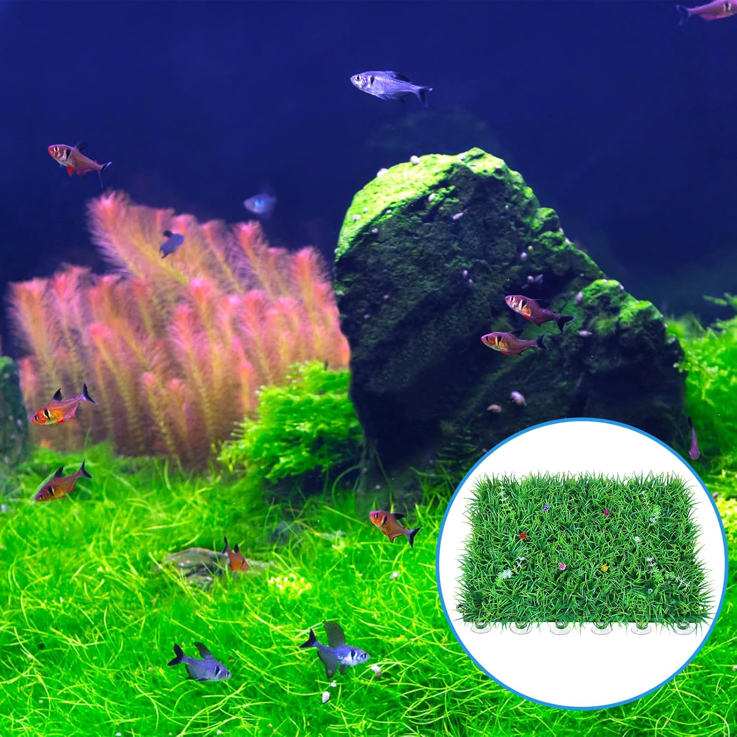 20 Pack Suction Cups with 40 Zip Ties for Aquarium Fish Tank Decoration Moss Shrimp Nest