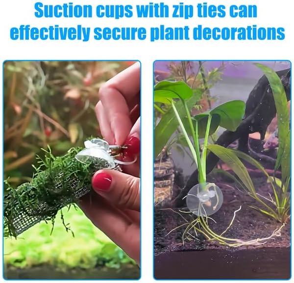 20 Pack Aquarium Suction Cups with Clips 3/16" air Hose and Adjtable Zip Ties for Aquarium Fish Tank Decoration Moss Shrimp Nest