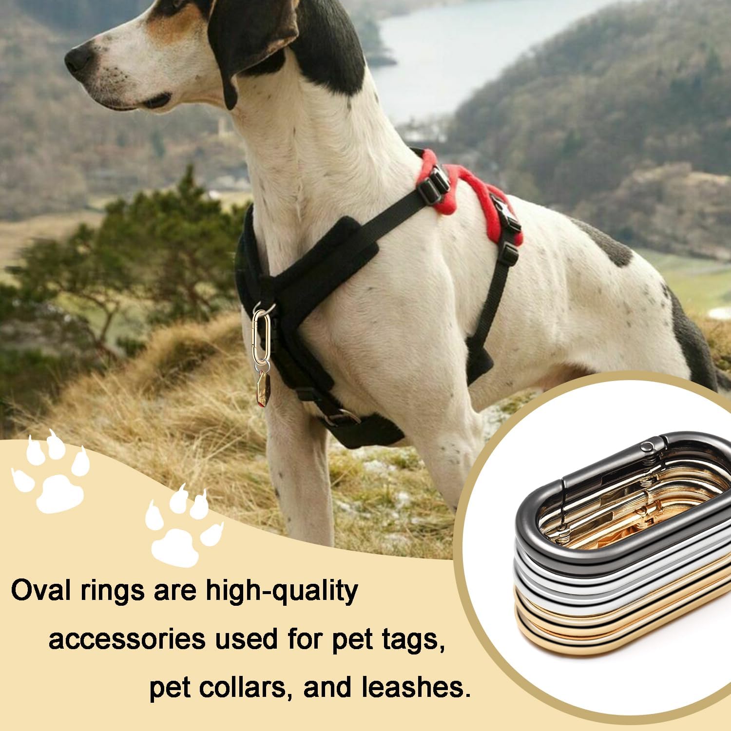 4pcs 2" Oval Spring Keyrings, Large Keychain Carabiner Clips, Spring O Rings Buckles for Purse Clip, Bag Strap Clasp, Backpack Charms, Dog Tag, Car Keyring Accessories Light Gold