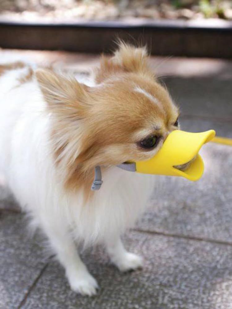 Dog Muzzle,Anti Bite Duck Mouth Shape DogMouth Covers,Soft Duck Silicone Mouth Cover with Adjustable Strap,Small Medium Dogs Muzzle Mask to Prevent Barking,Biting,Chewing :Yellow,L:13cm/5.12inch