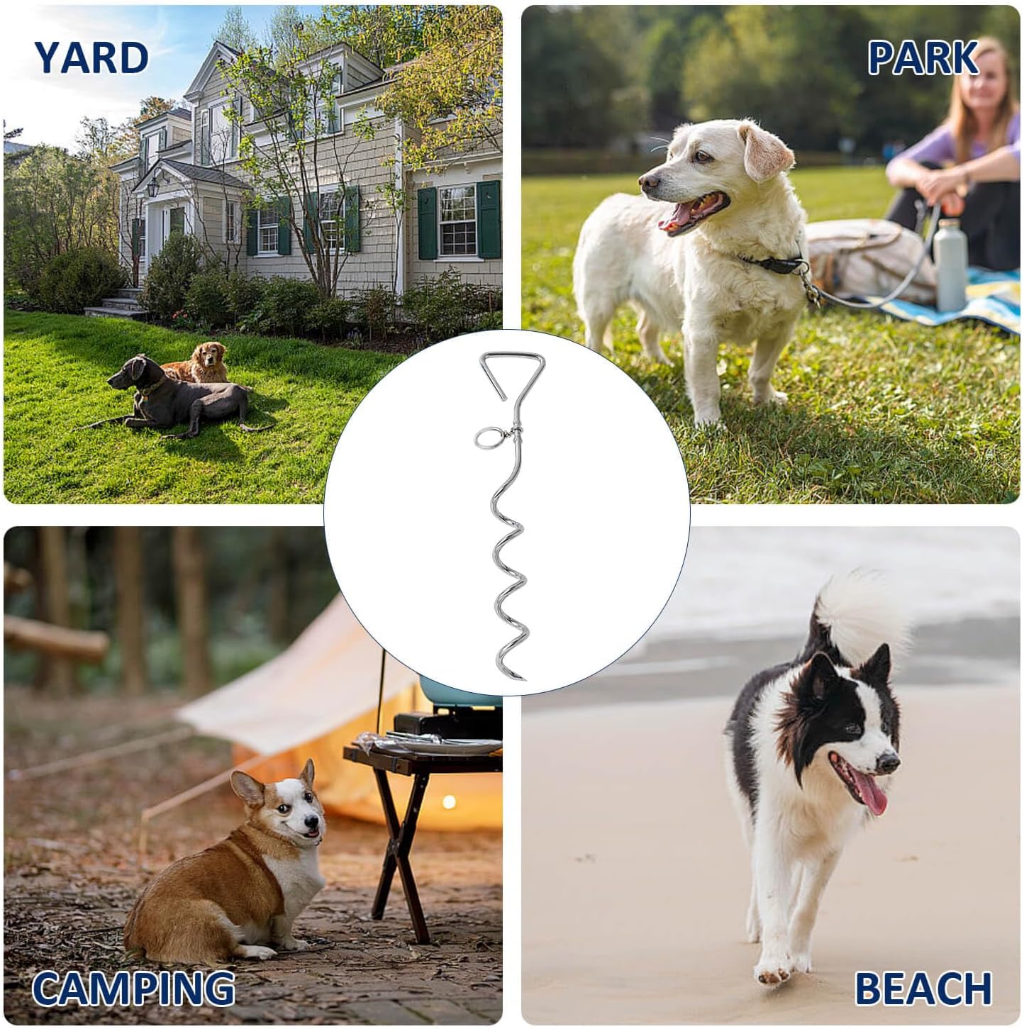 Dog Stake & Leak-Proof Upright Water Cup Set