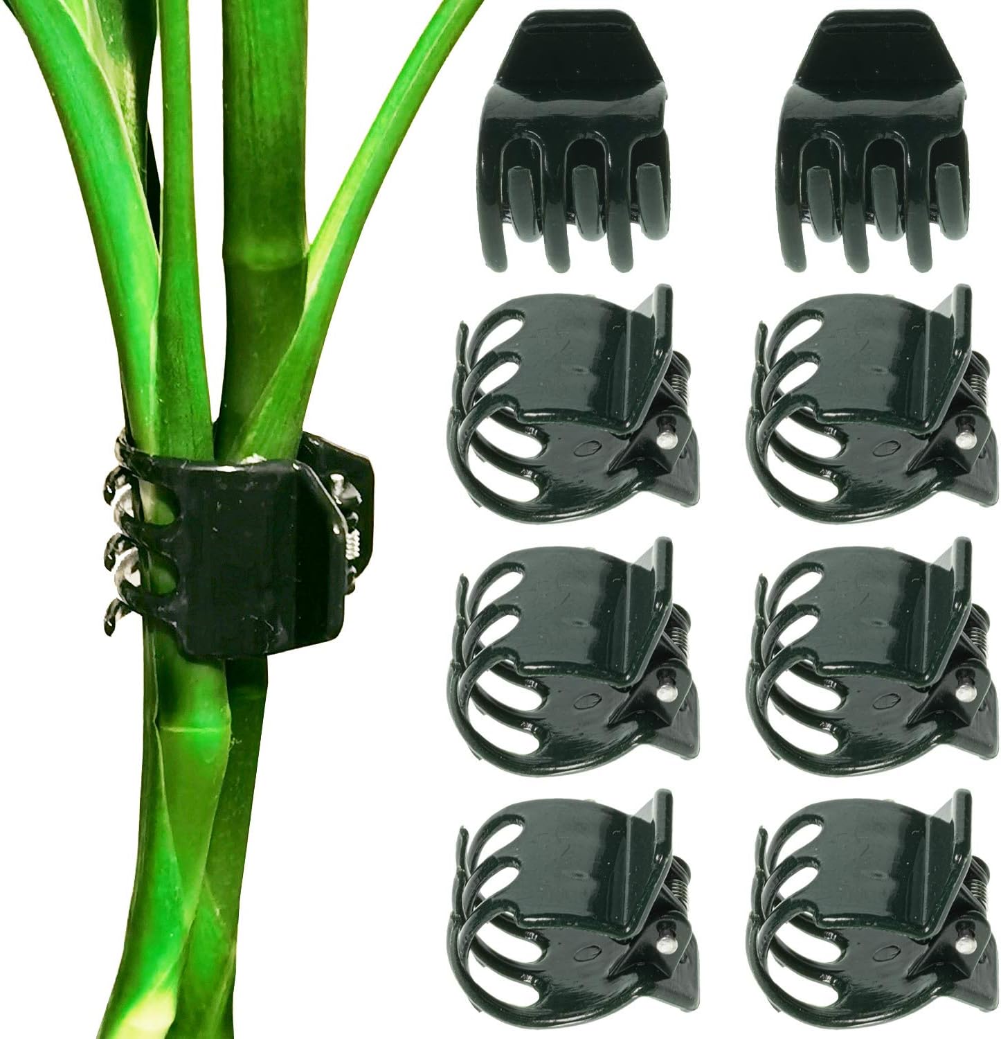 Plant Clips 50Pcs Large Orchid Clips for Orchid Support Plant Support Flower Vine 2cm, 50PCS
