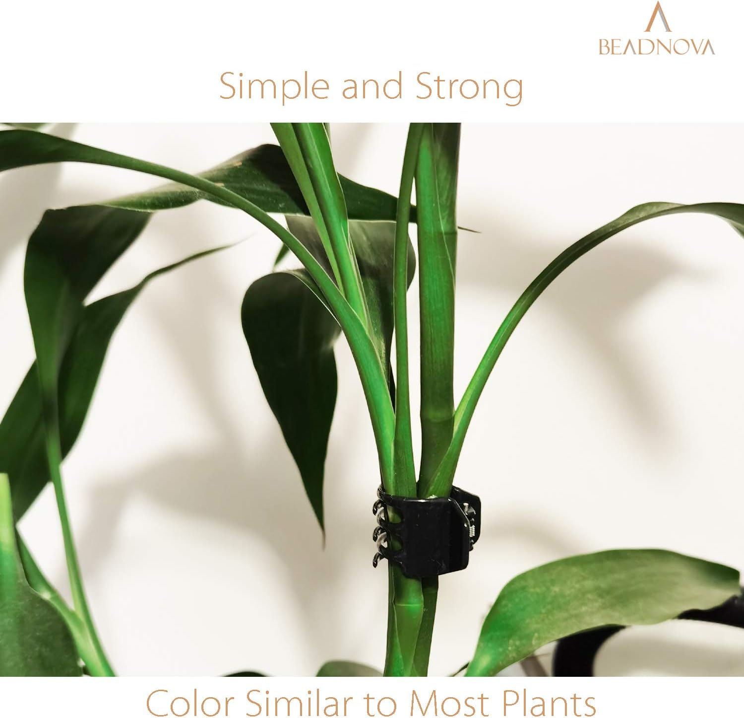 Plant Clips 50Pcs Large Orchid Clips for Orchid Support Plant Support Flower Vine 2cm, 50PCS
