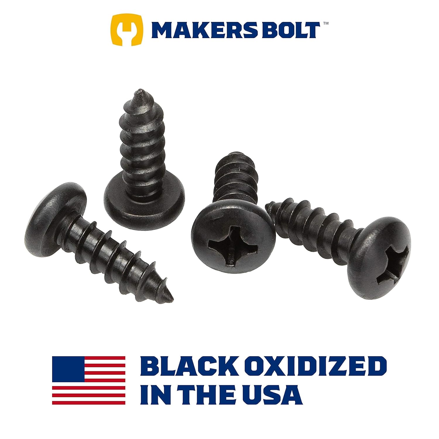 Stainless Steel Screws - Black Head, Oxidized Finish Pack of 4