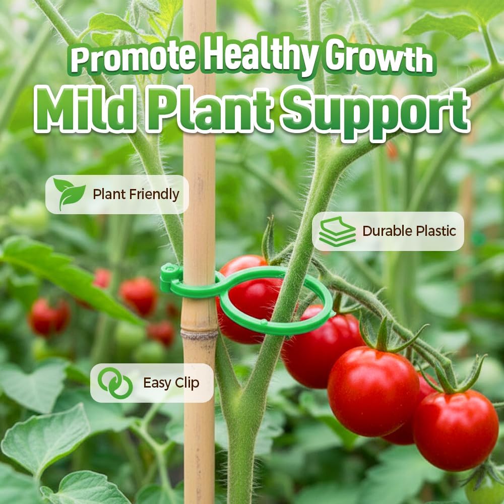 Plant Support Clips for Climbing Plants, Reable Garden Plant Support Plastic Clips for Tomatoes, Vines & Climbing Plants, Plant Fixing Clips for Vegetables, Fruits & Flowers 100, Green Large