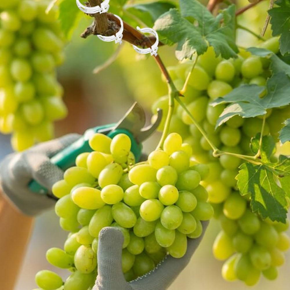 Secured Plastic Plant Clip, 2024 New Plant Support Clips for Climbing Plants, Portable Garden Plant Support Clips Plastic Tomato Grape Vine Vegetables Plant Clips 100, White