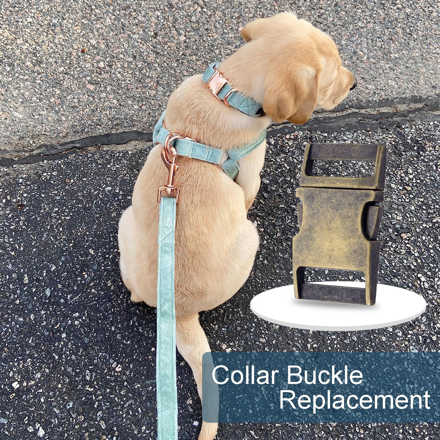 CooBigo 10 Pack Bulk Dog Collar Hardware Metal Buckle 1 inch Webbing Backpack Buckle Replacement Backpack Strap Kit Prong Collar Clip Buckles Bronze