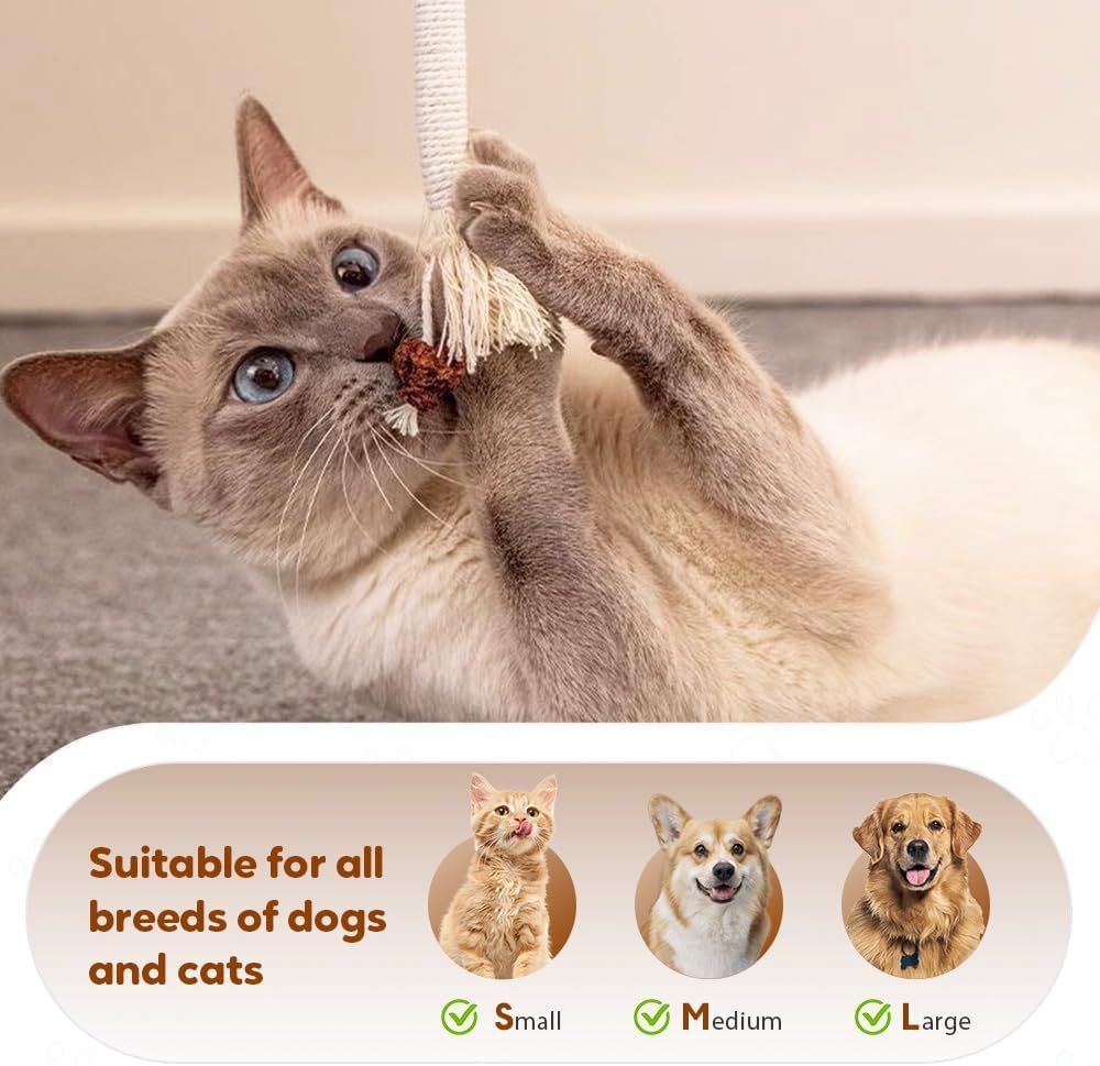 Cat Chew Rope Toy,Interactive Cat Toys for Indoor Cats,Catnip Toys for Bored Indoor Adult Cats,Cat Enrichment Toys,Teeth Cleaning Toy for Kittens All Breeds 23.6in Purple