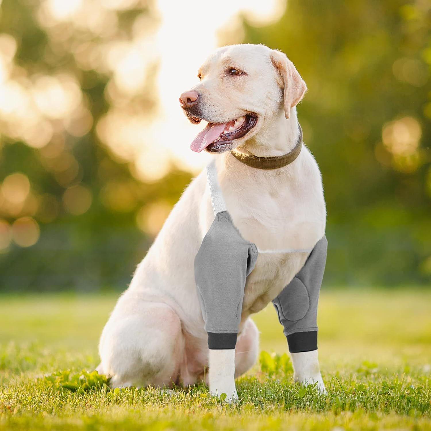 2 Pairs Dog Elbow Protector Dog Recovery Sleeve with Elastic Band Soft Padded Adjustable Front Leg Braces for Small Medium Large Doggy, 2 Colors X-Large