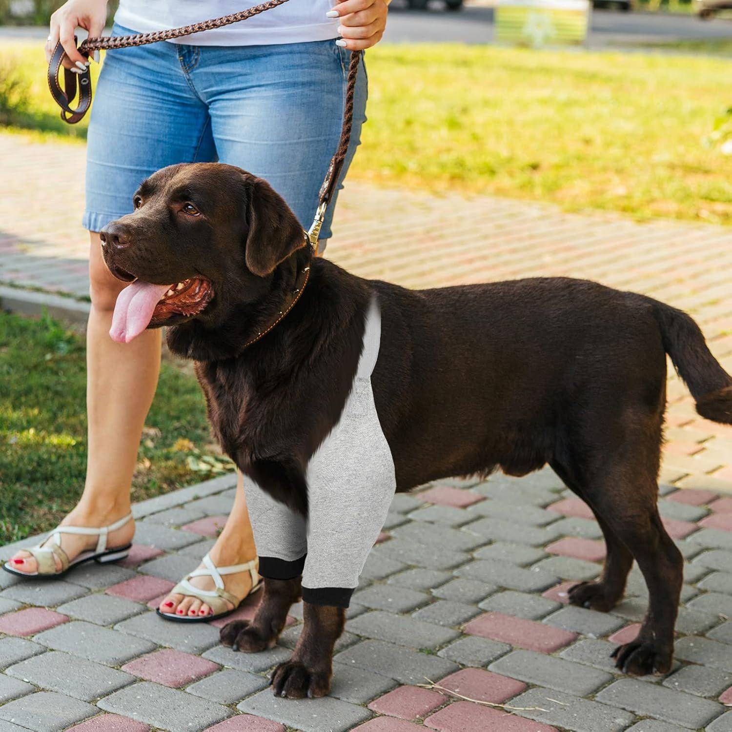 2 Pairs Dog Elbow Protector Dog Recovery Sleeve with Elastic Band Soft Padded Adjustable Front Leg Braces for Small Medium Large Doggy, 2 Colors X-Large