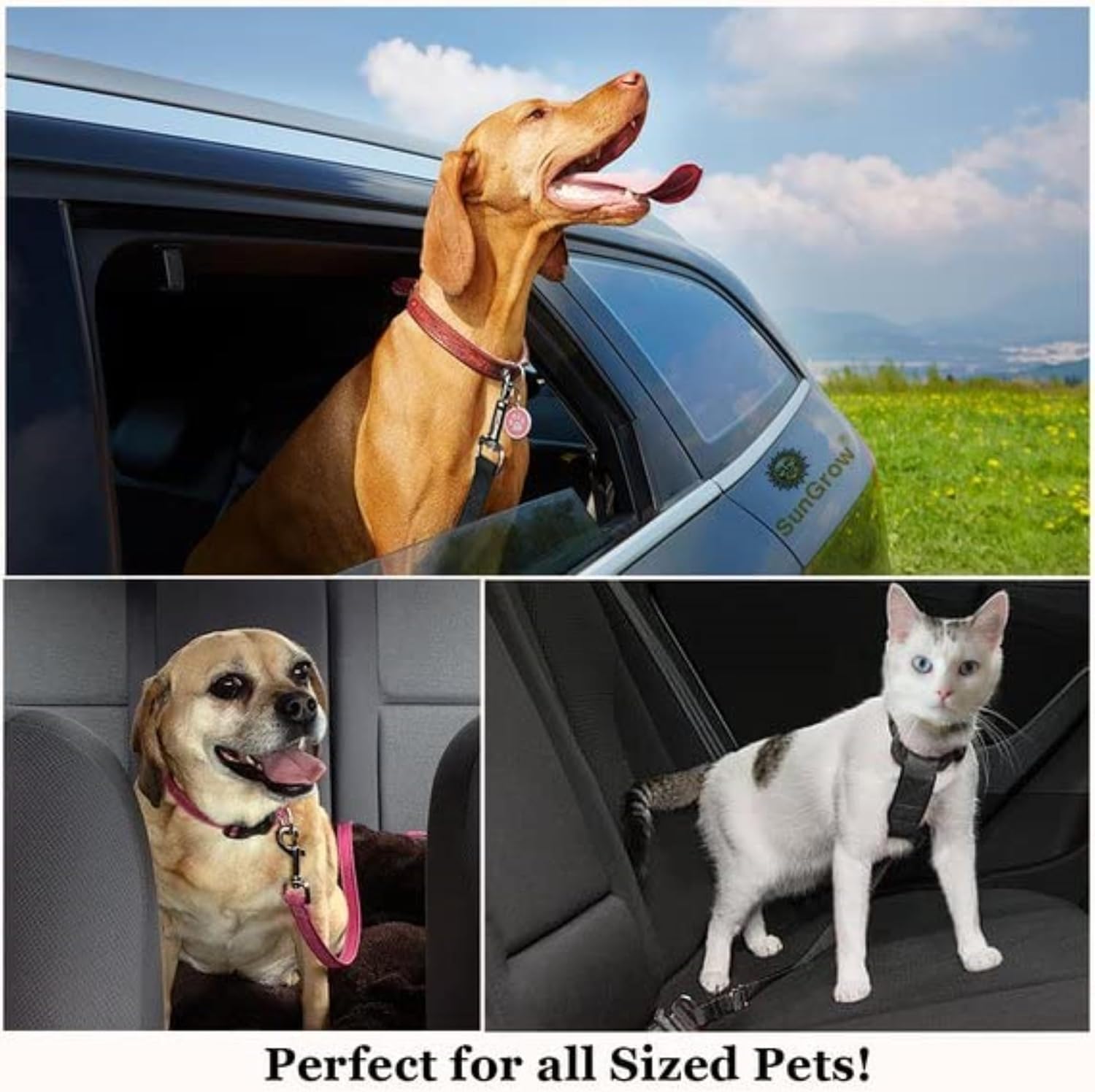 Dog Seat Belt for Car, Adjustable Nylon Pet Seatbelt, Supports All Cars, Dog Car Leash Seat Belt, Seatbelt for Dogs, Cats & Ferrets Travel Harness