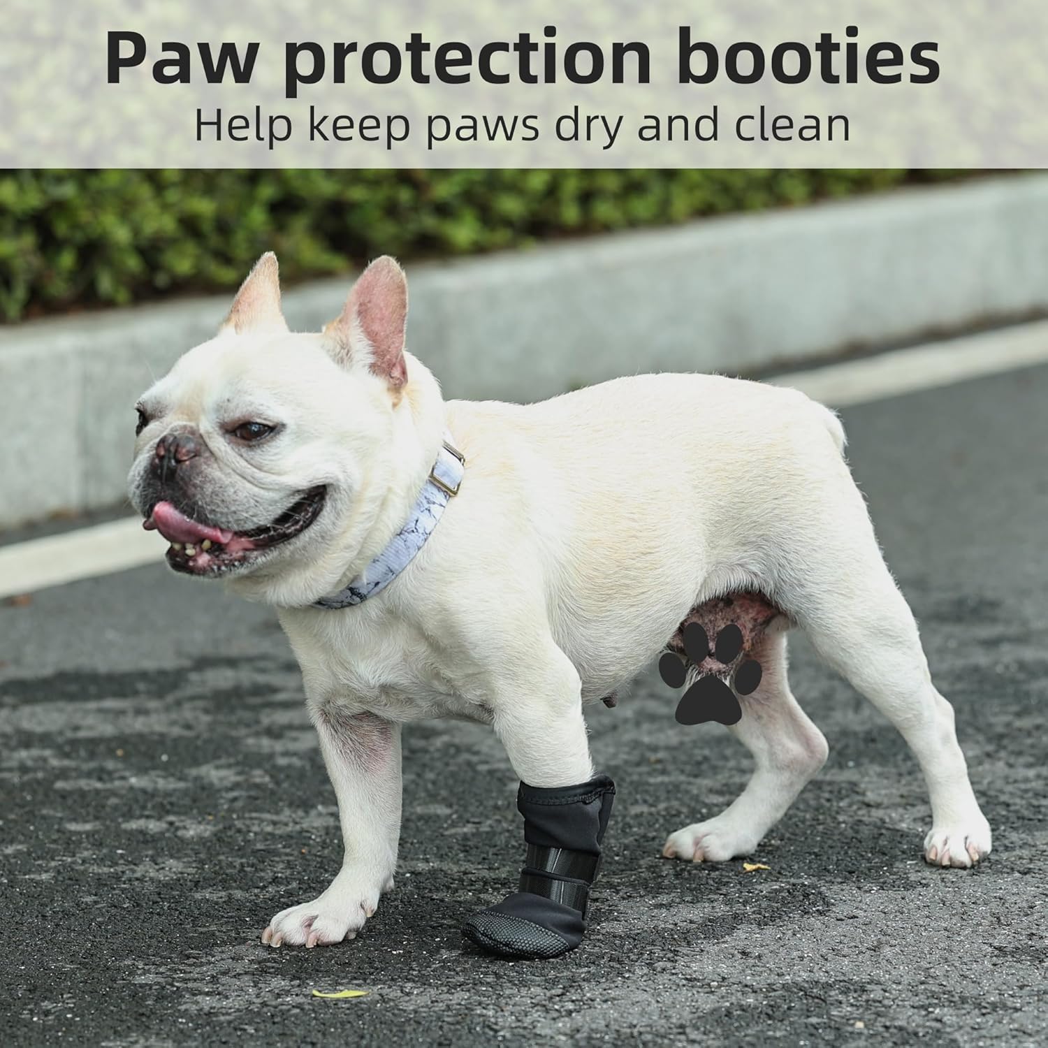 Dog Paw Wound Recovery Boot, Breathable Dog Bootie for Injured Paw, Anti-Slip Dog Shoe with Self-Adhesive Strap, Dog Paw Protector for Outdoor Walking & Keep Dogs from Licking Wounds M